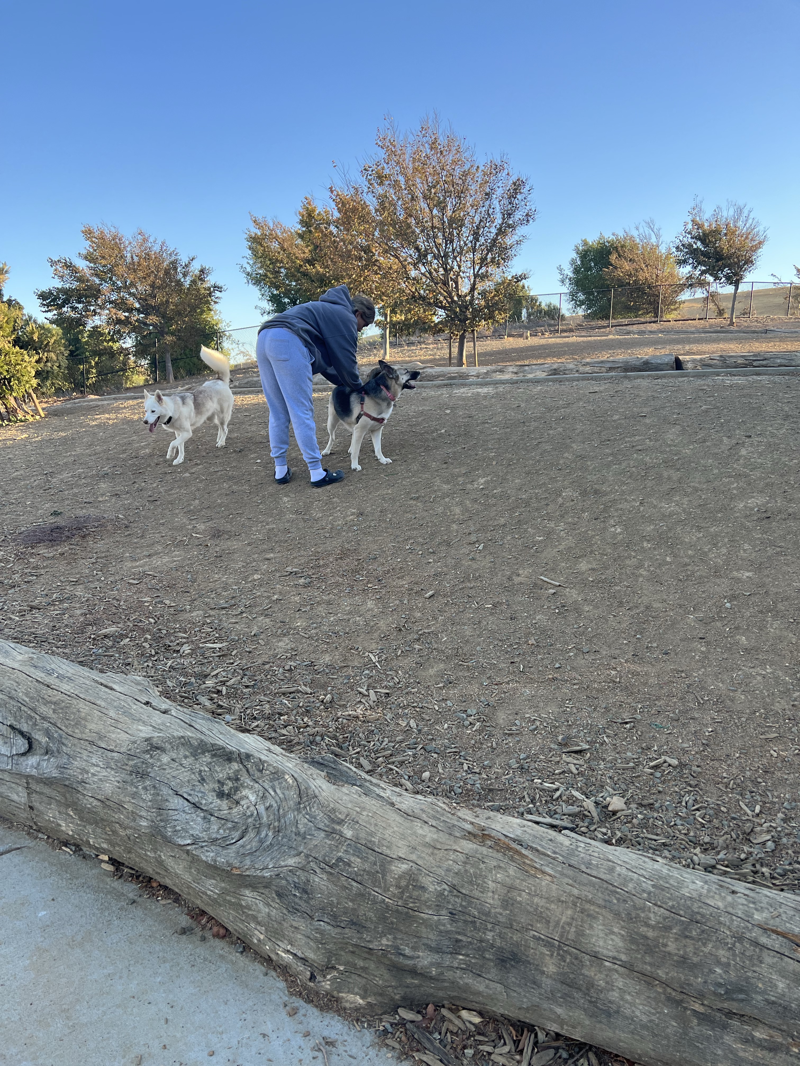 Cordelia Community Park, Large and Small Dog Park