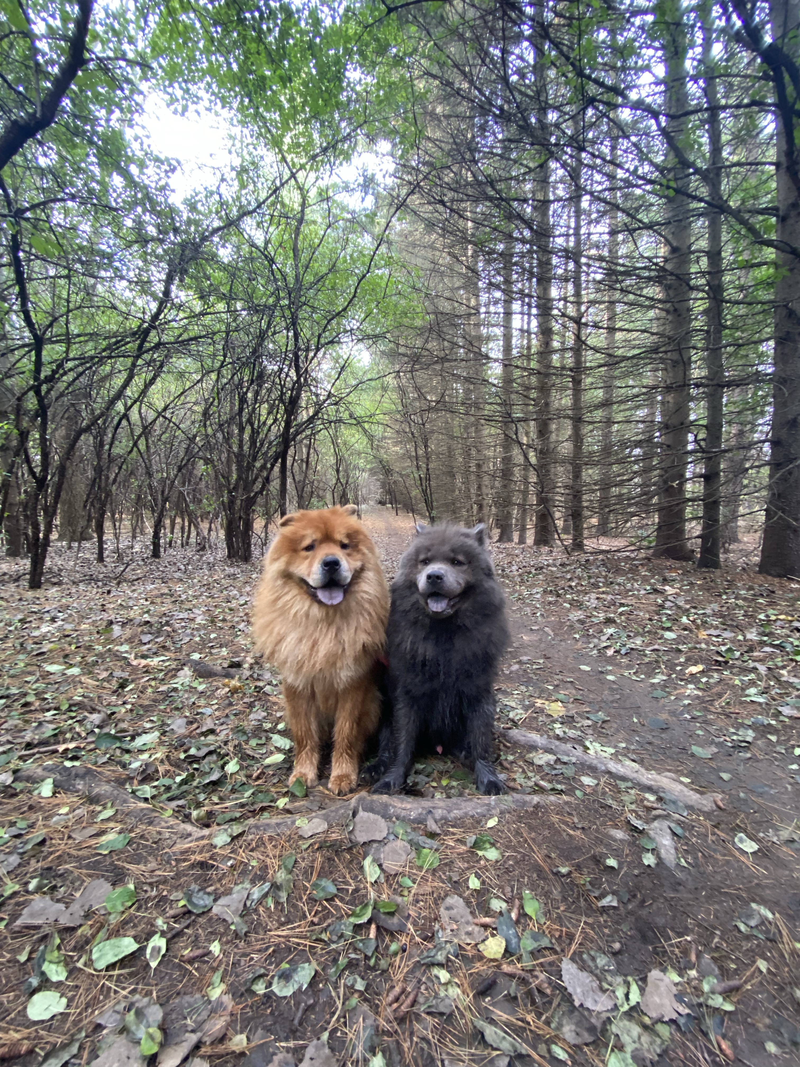 Puslinch Lake Loop - Trail