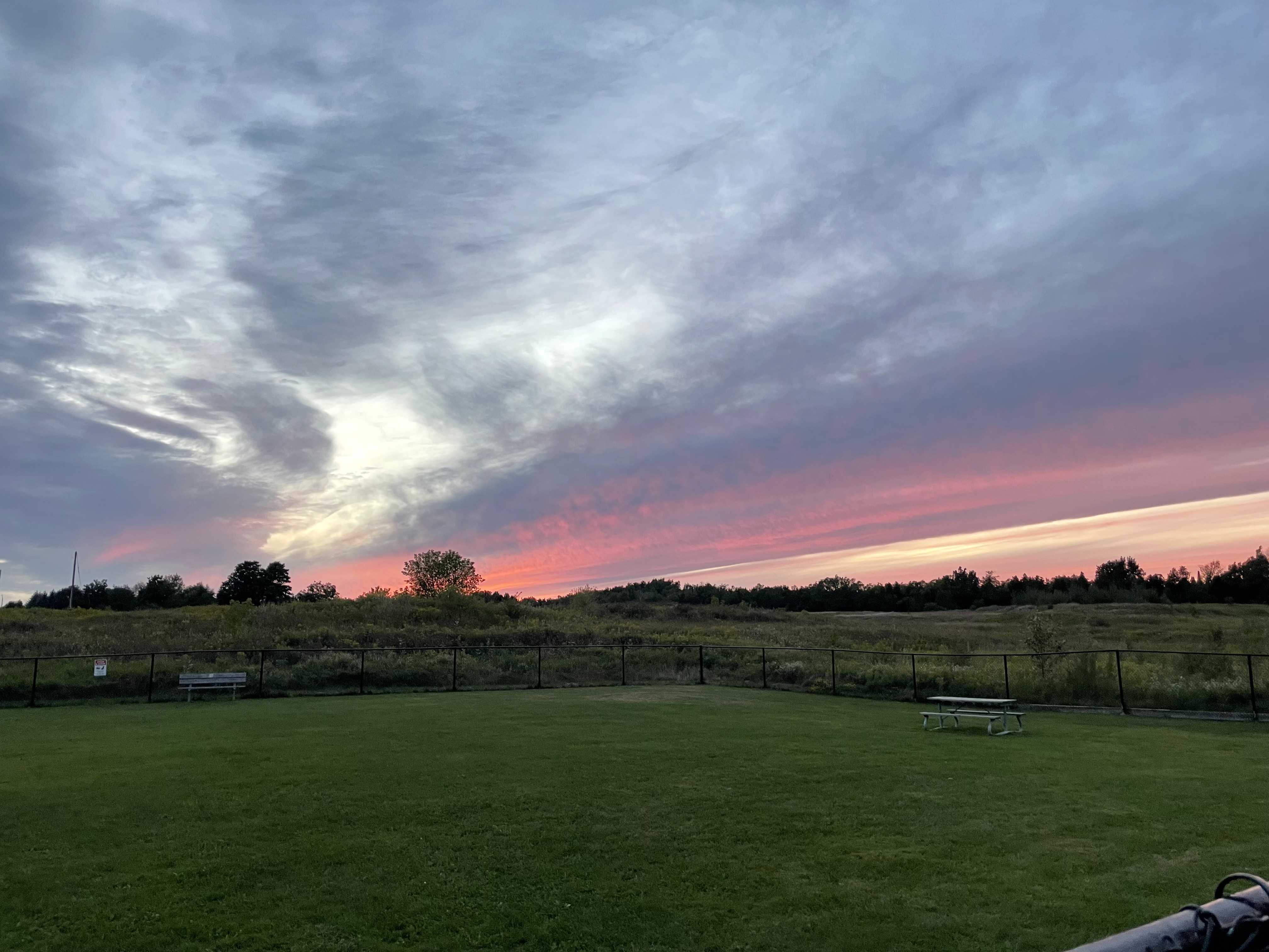 Hansen Blvd Off-Leash Dog Park