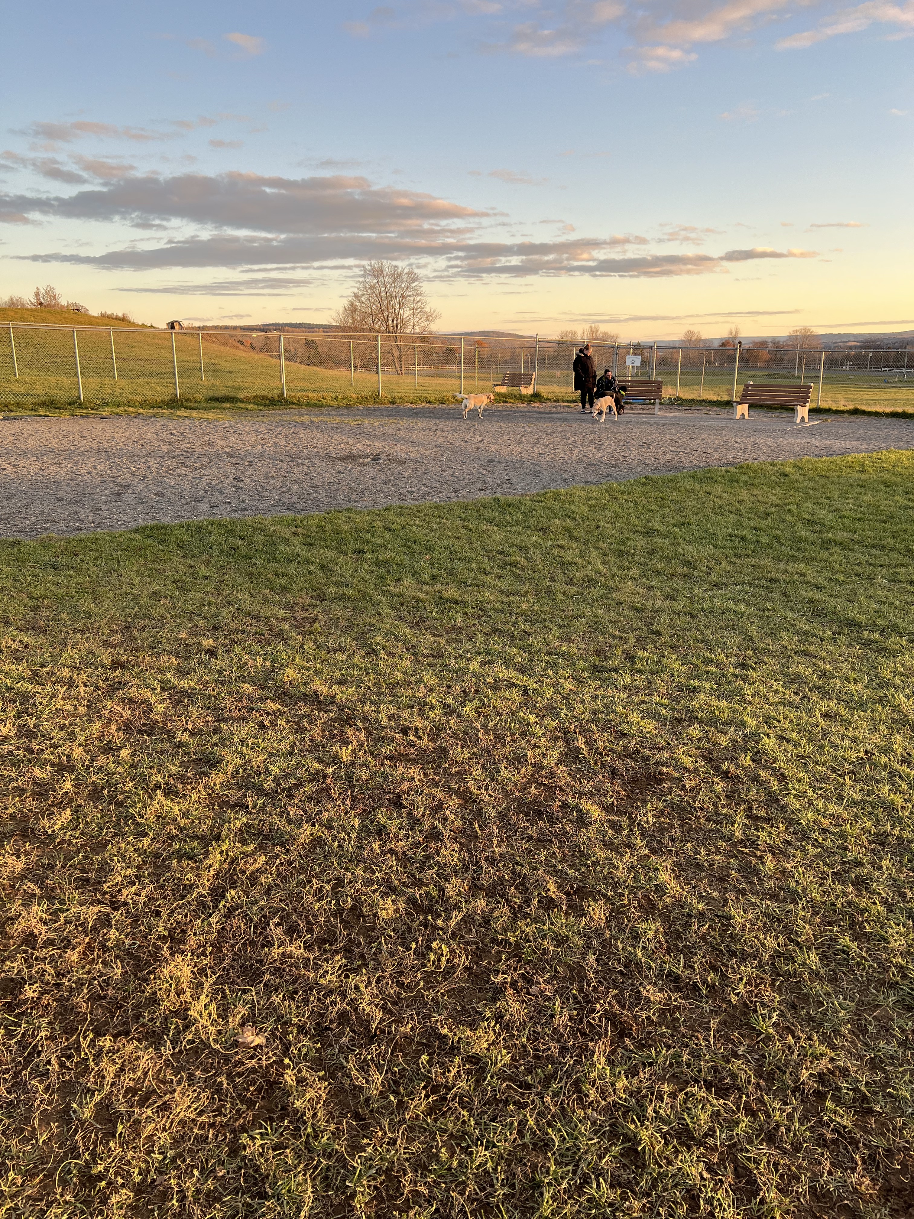 Connell Park Dog Park