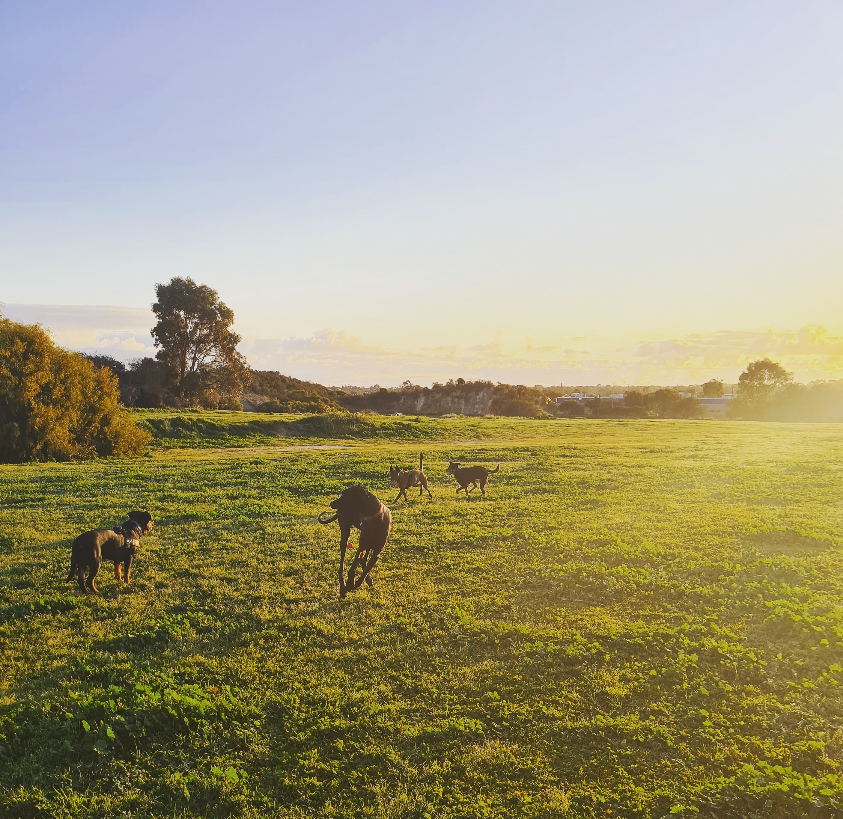 Edgewater Quarry Park