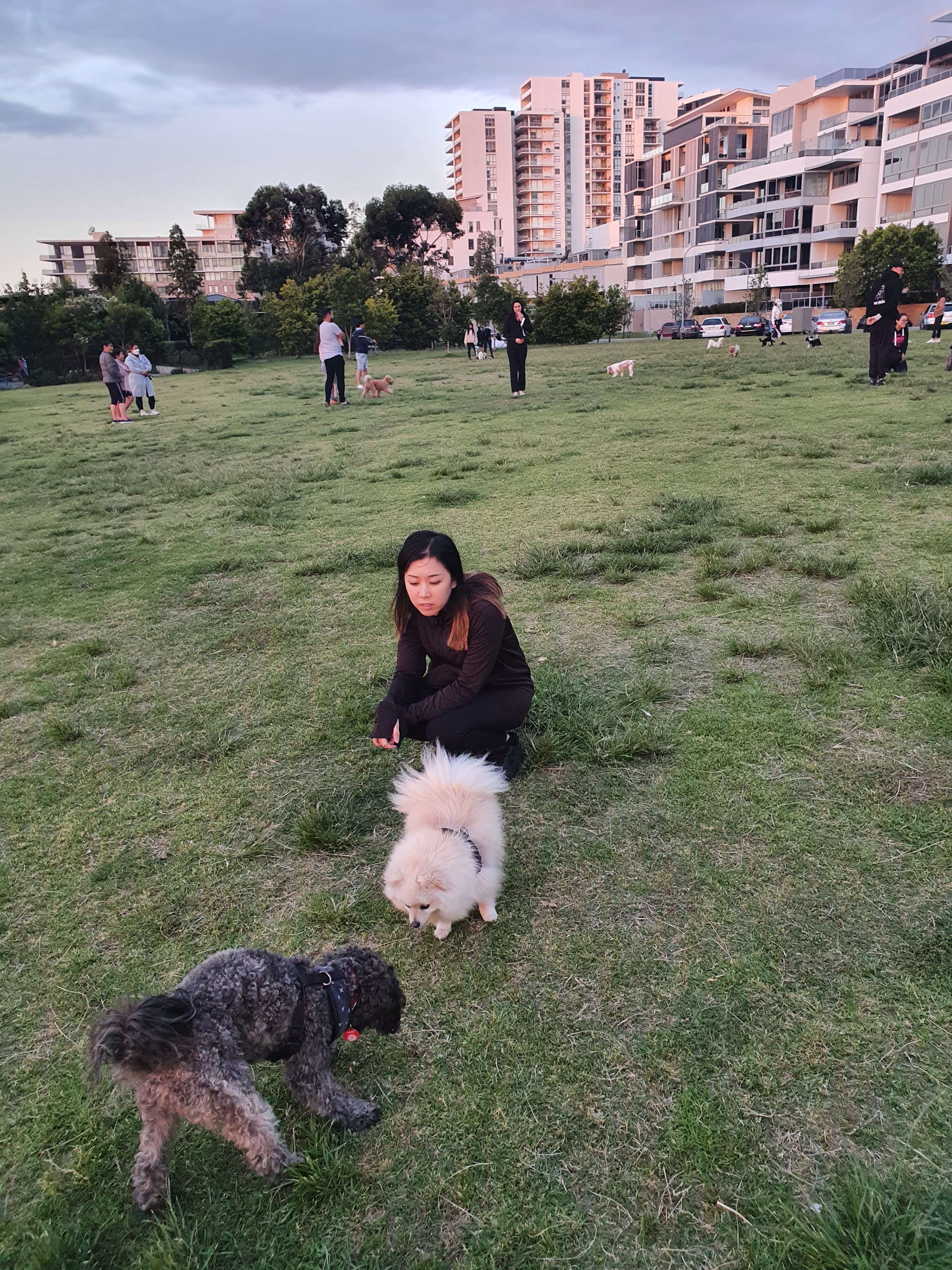 Rhodes Foreshore Park