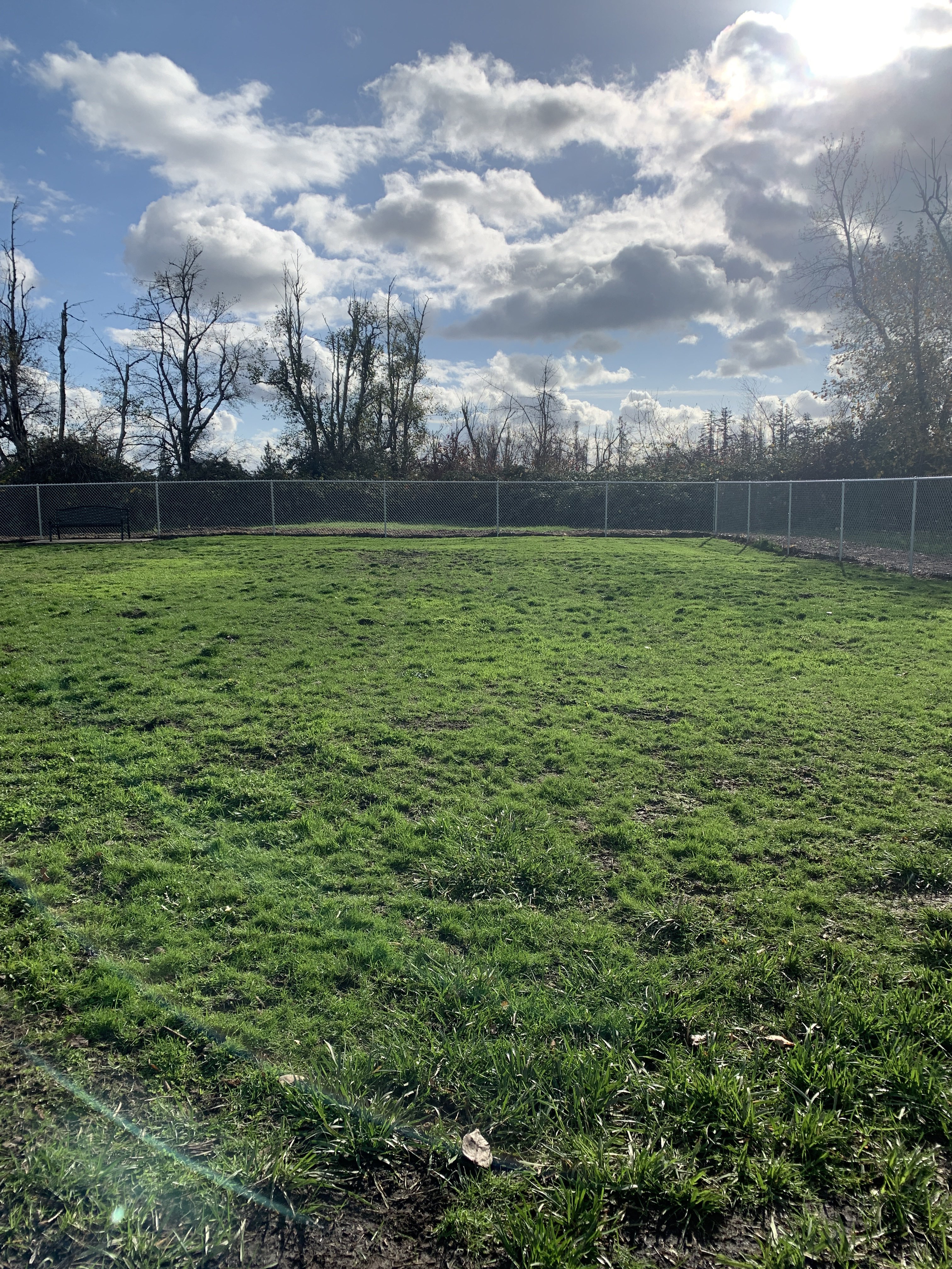 Aumsville Dog Park