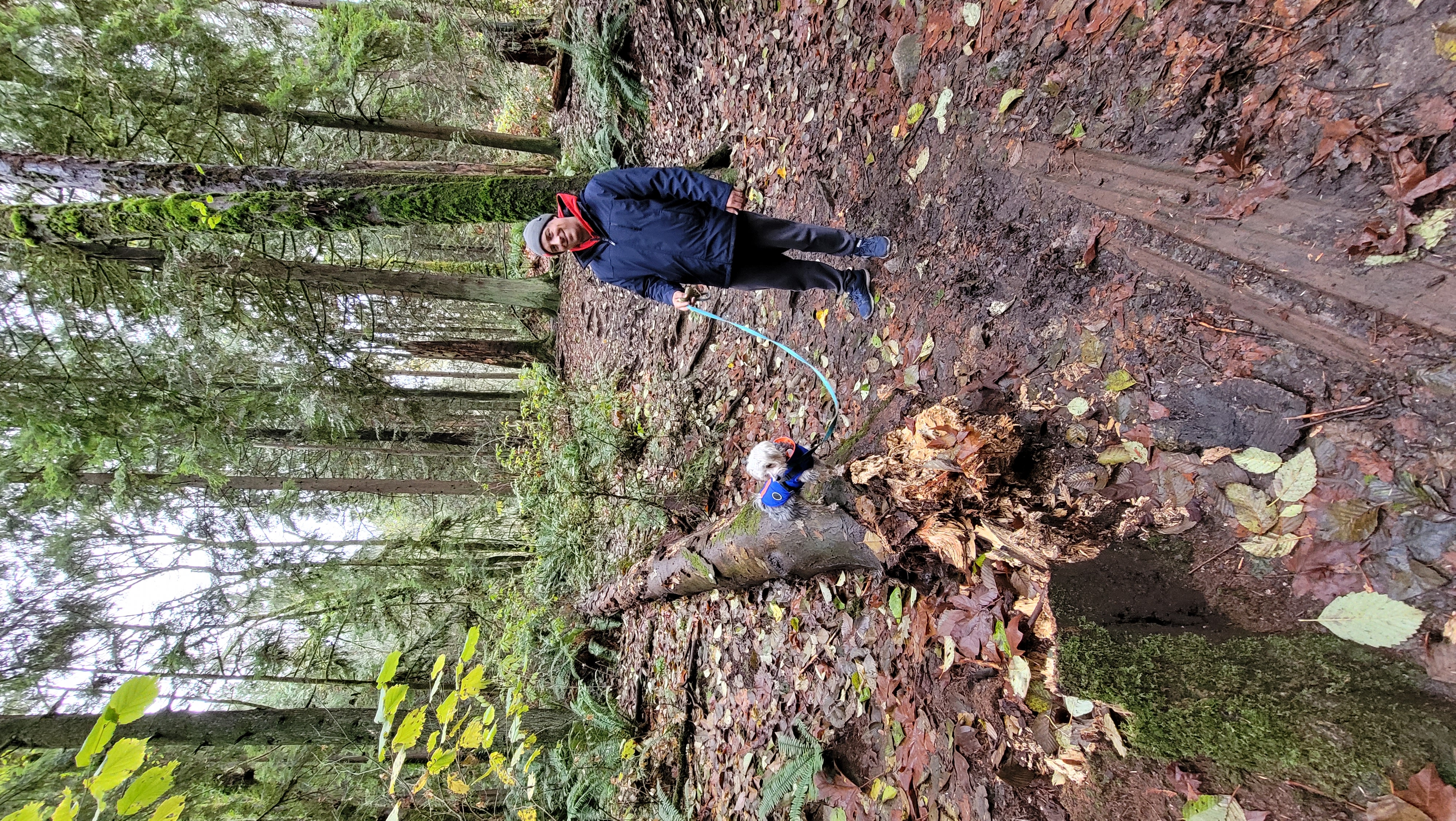 Robert Burnaby Off-Leash Dog Trail