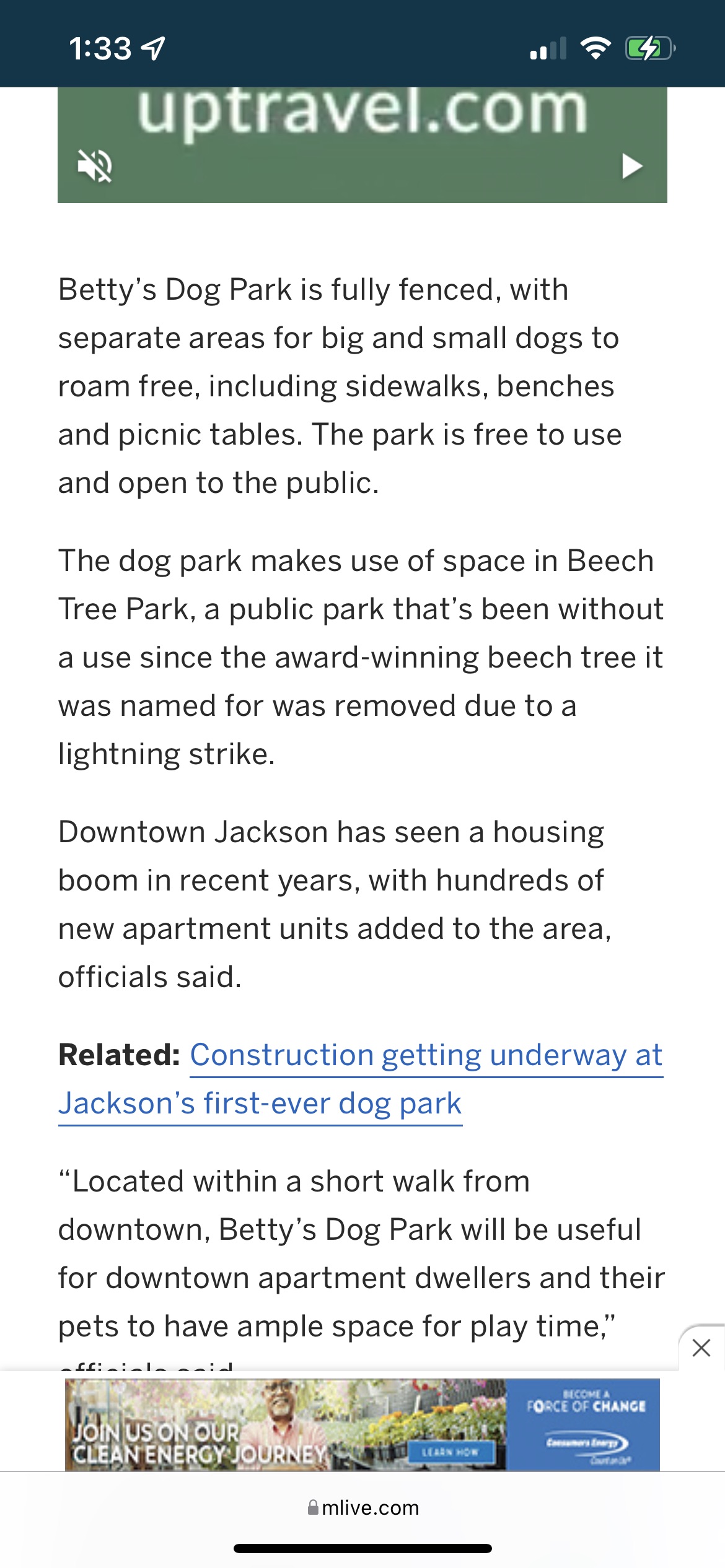 Betty’s Dog Park