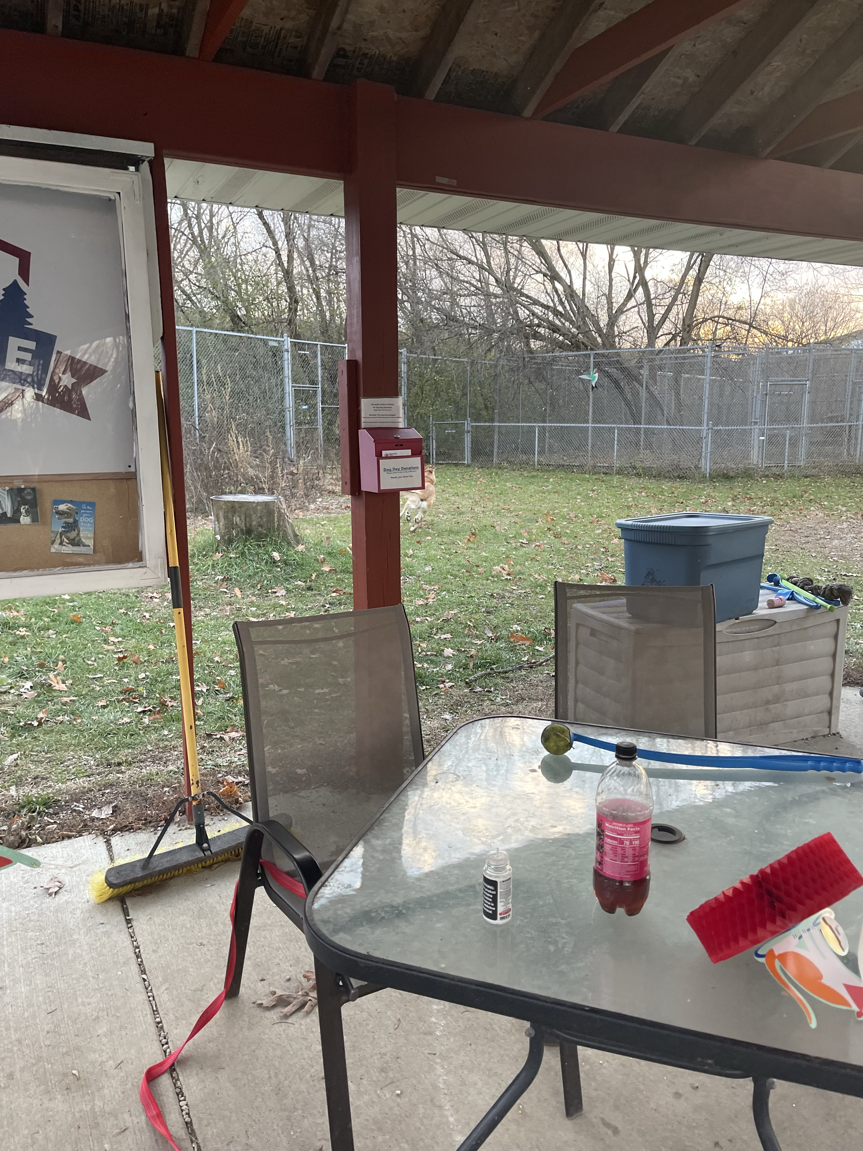 Pitbull Advocates Of America (Private)