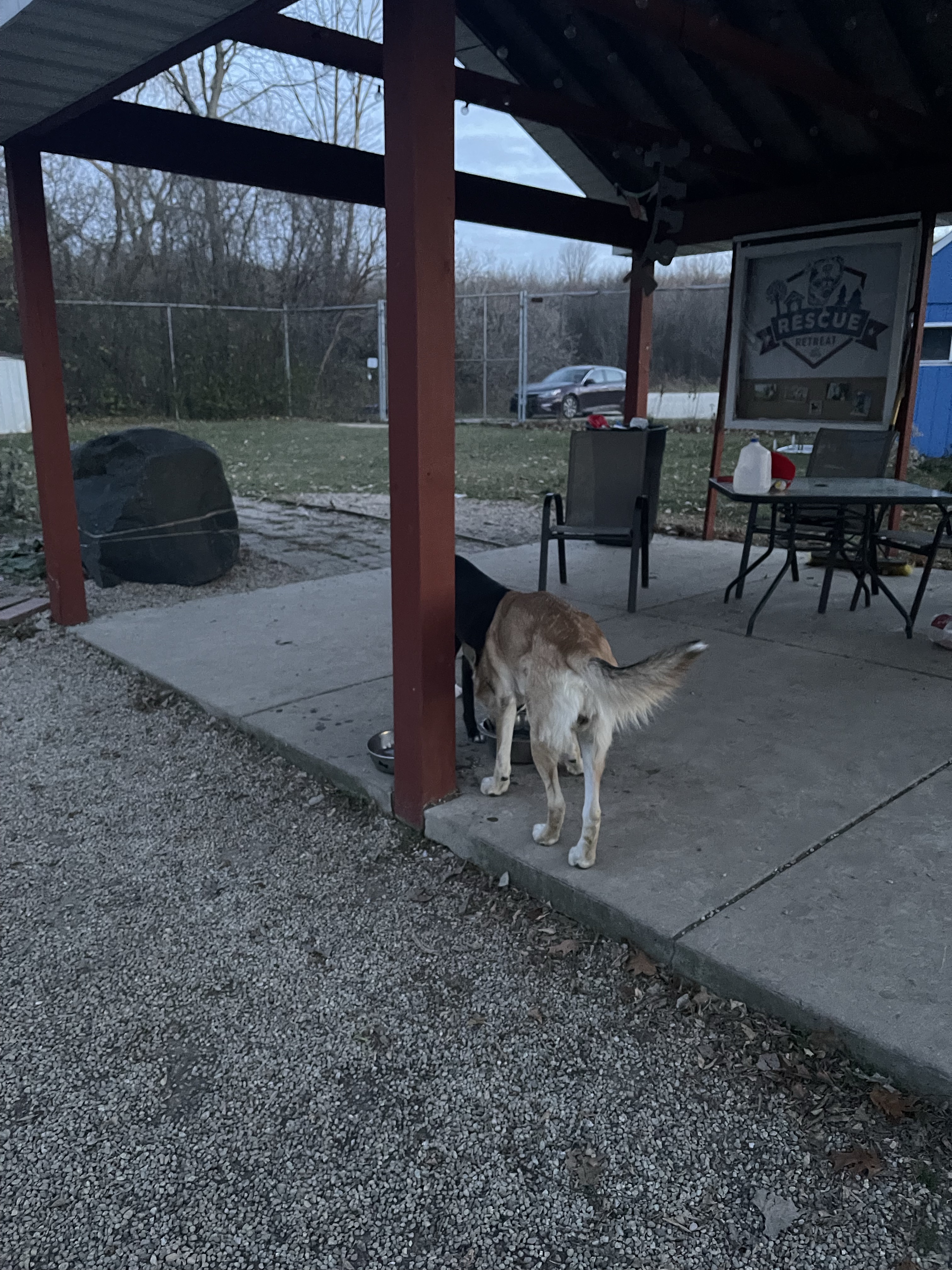 Pitbull Advocates Of America (Private)