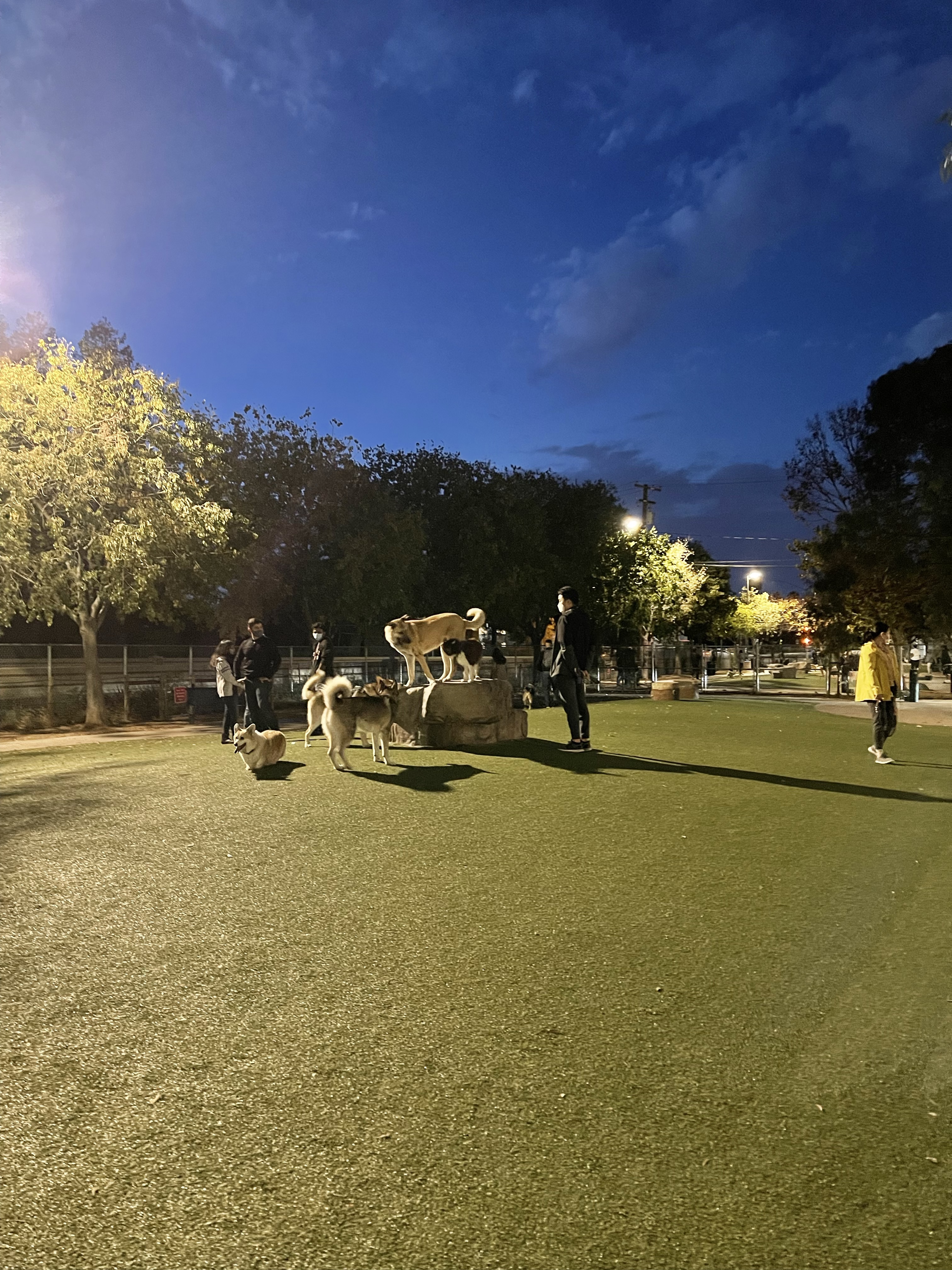 Raymond G. Gamma Dog Park (Reed Street Dog Park)