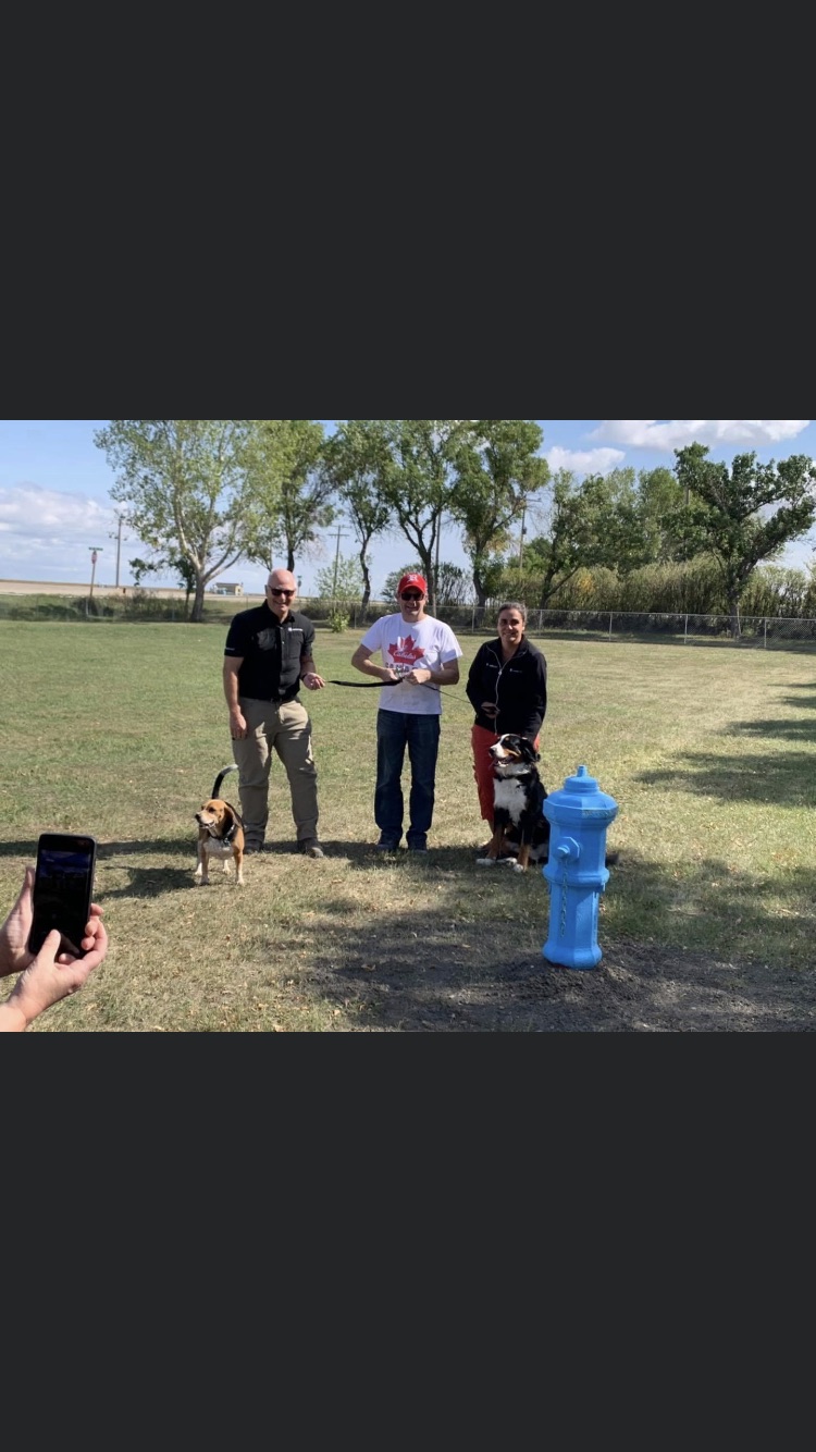 The Bark Park - Rosetown