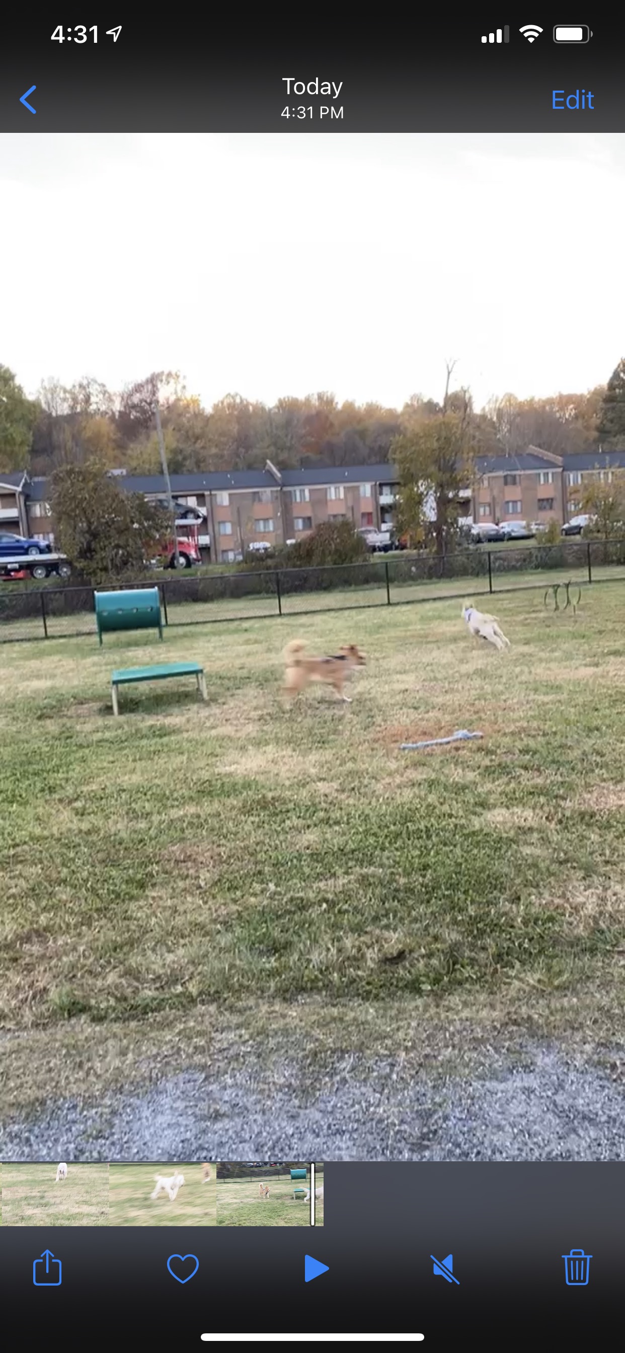 Collinsville Dog Park