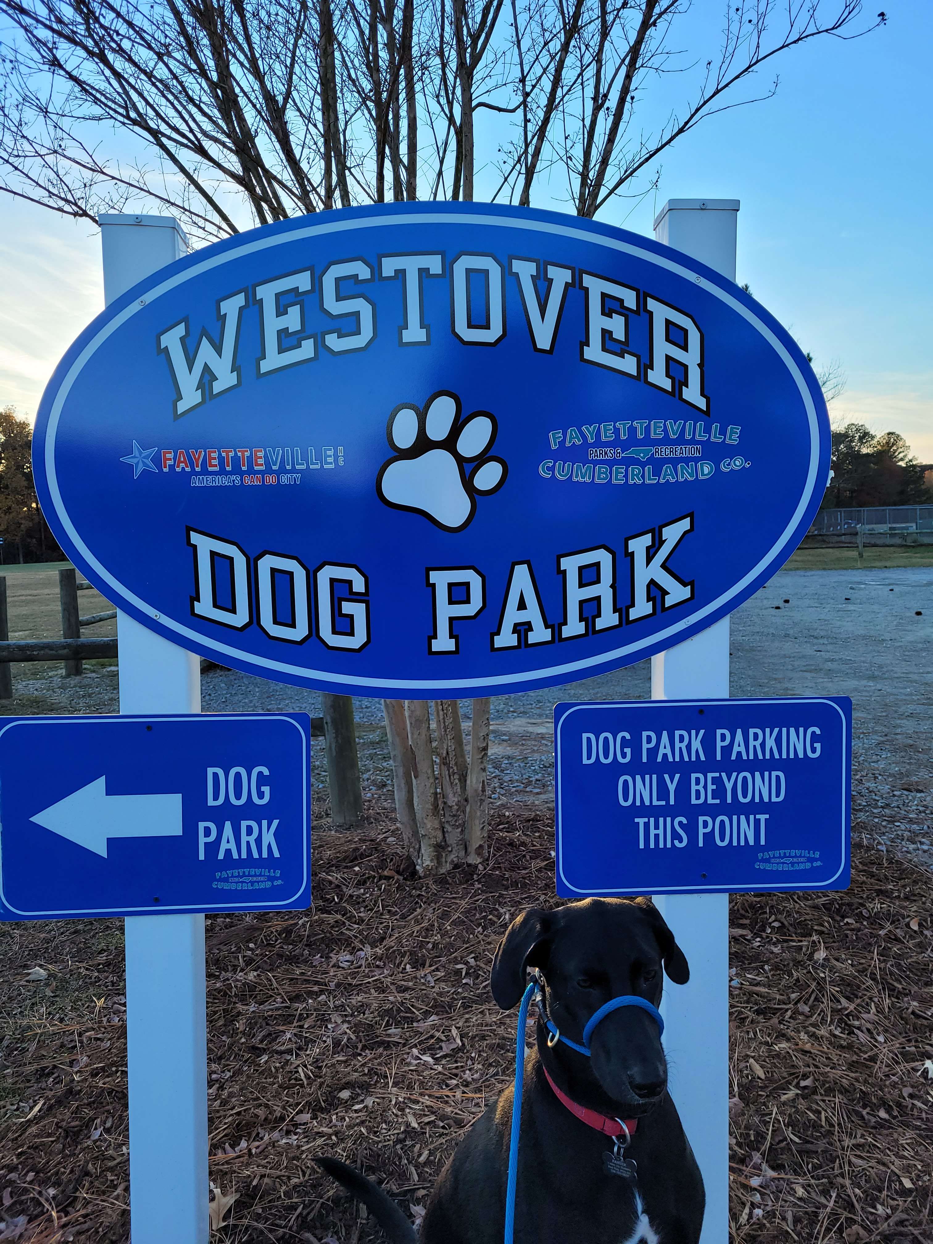 Westover Dog Park
