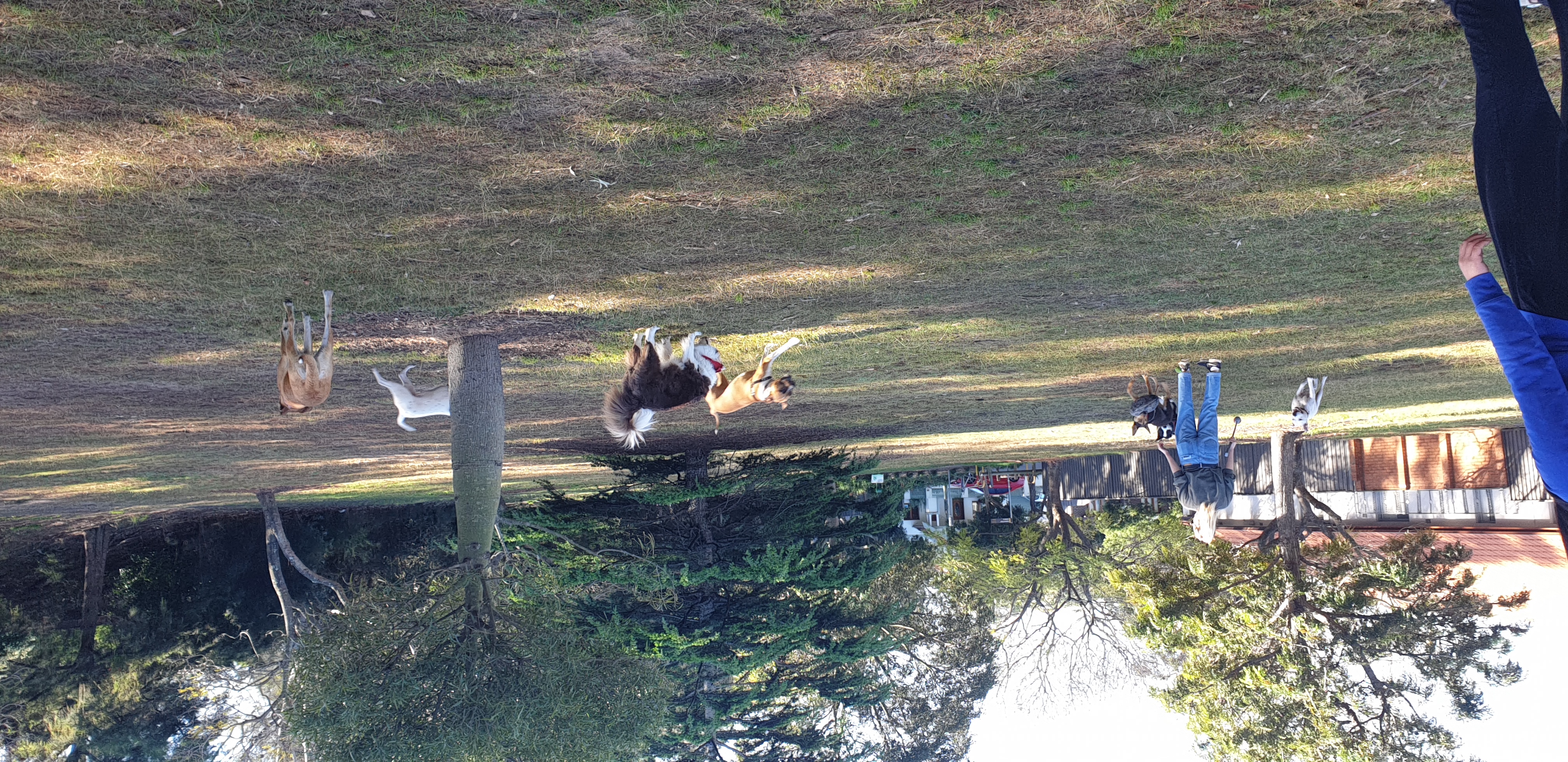 Southern Cross Drive Reserve