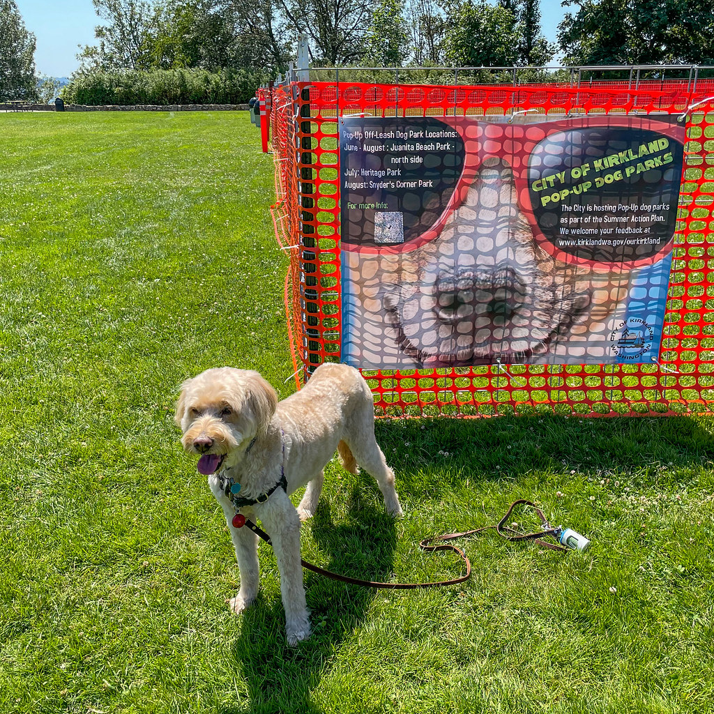 Juanita Beach Pop Up Dog Park