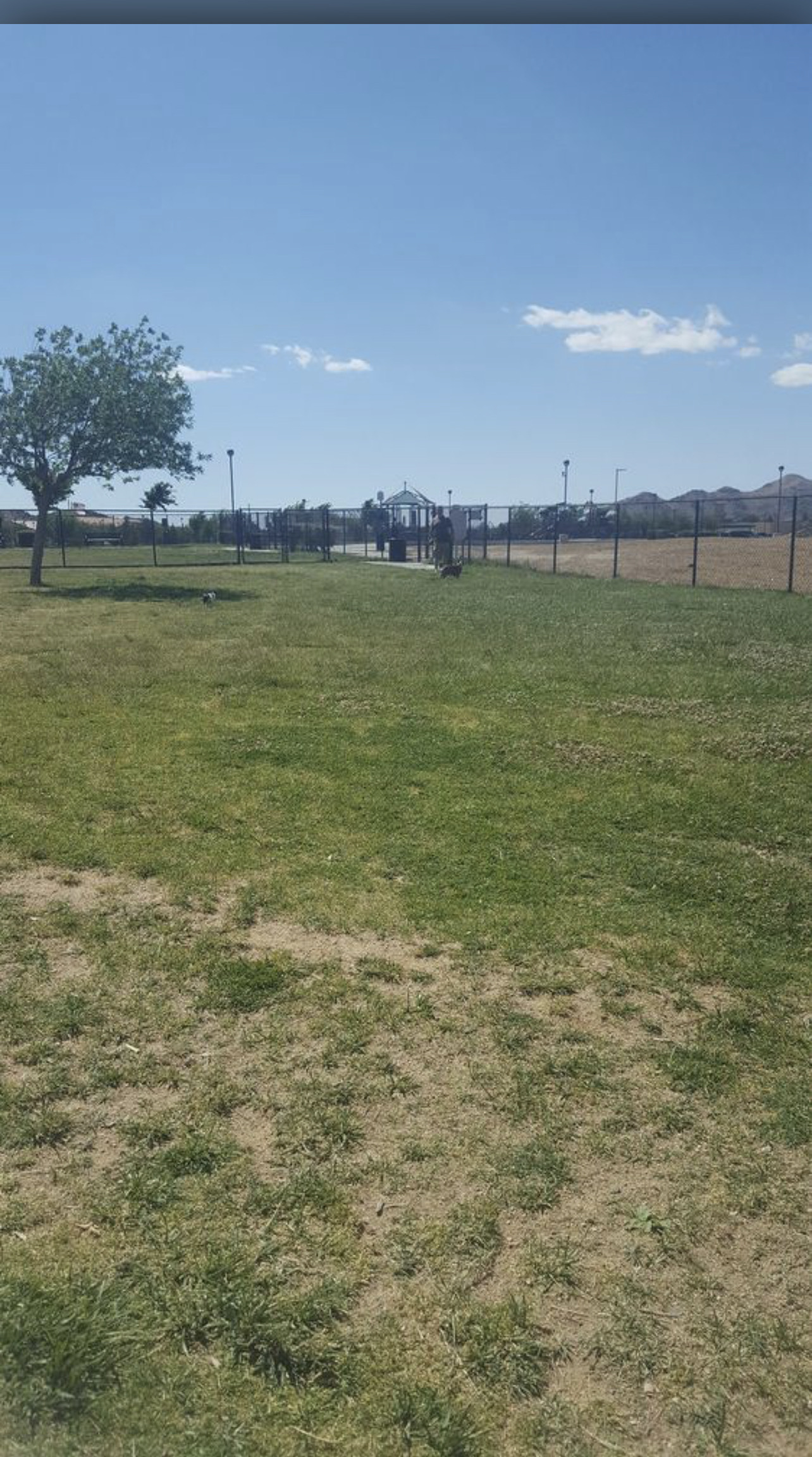 Civic Center Dog Park - Apple Valley