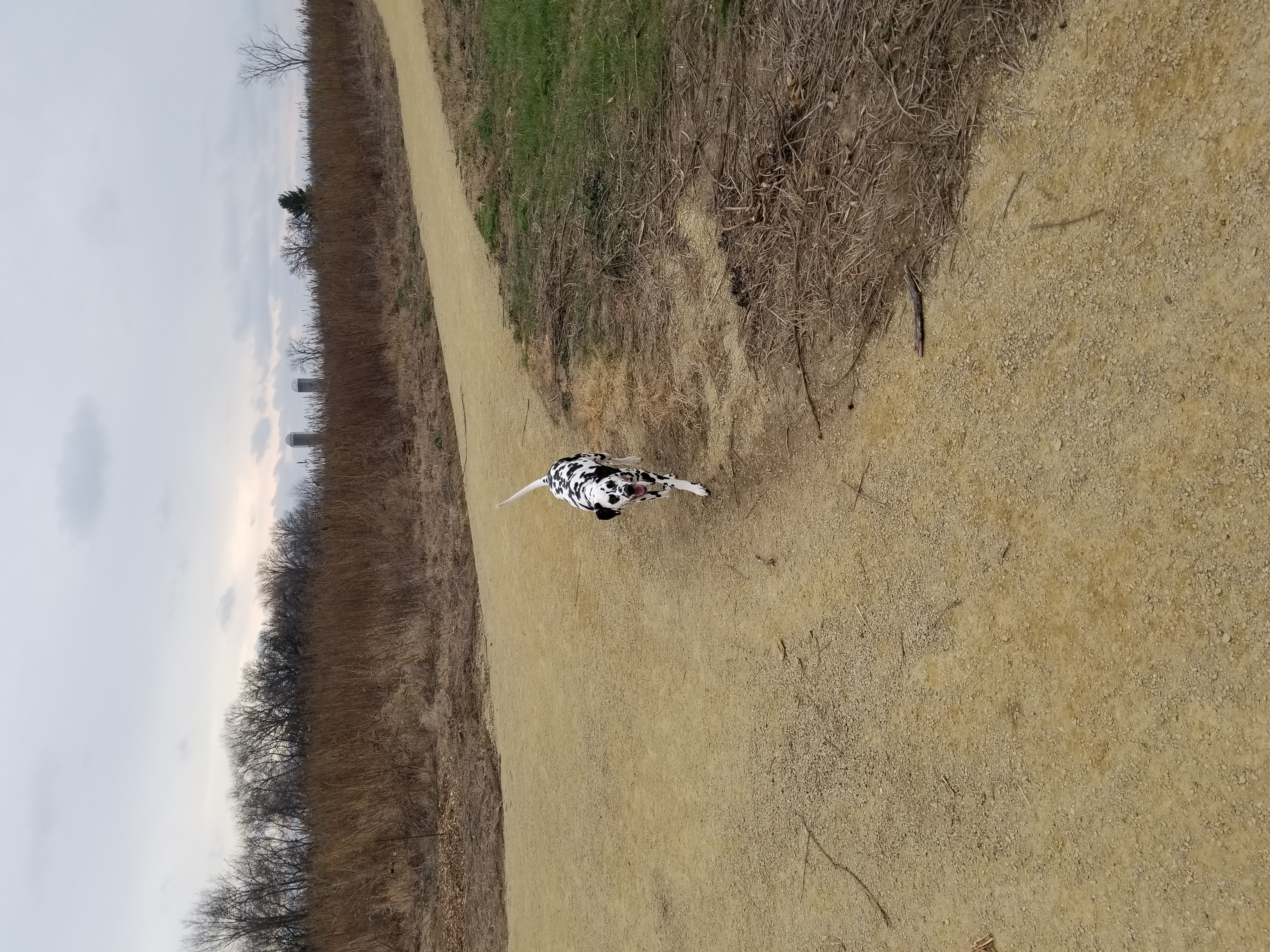 Anderson County Park Dog Park