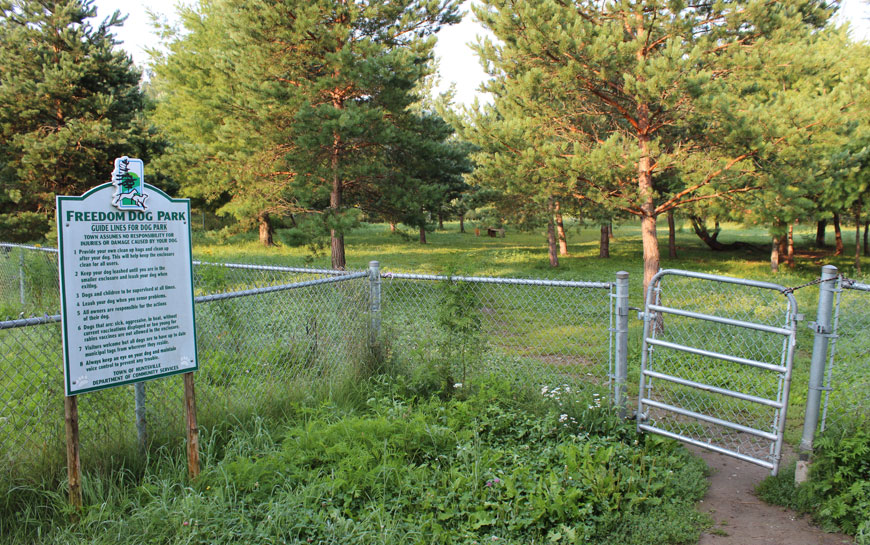 Freedom Dog Park - Huntsville
