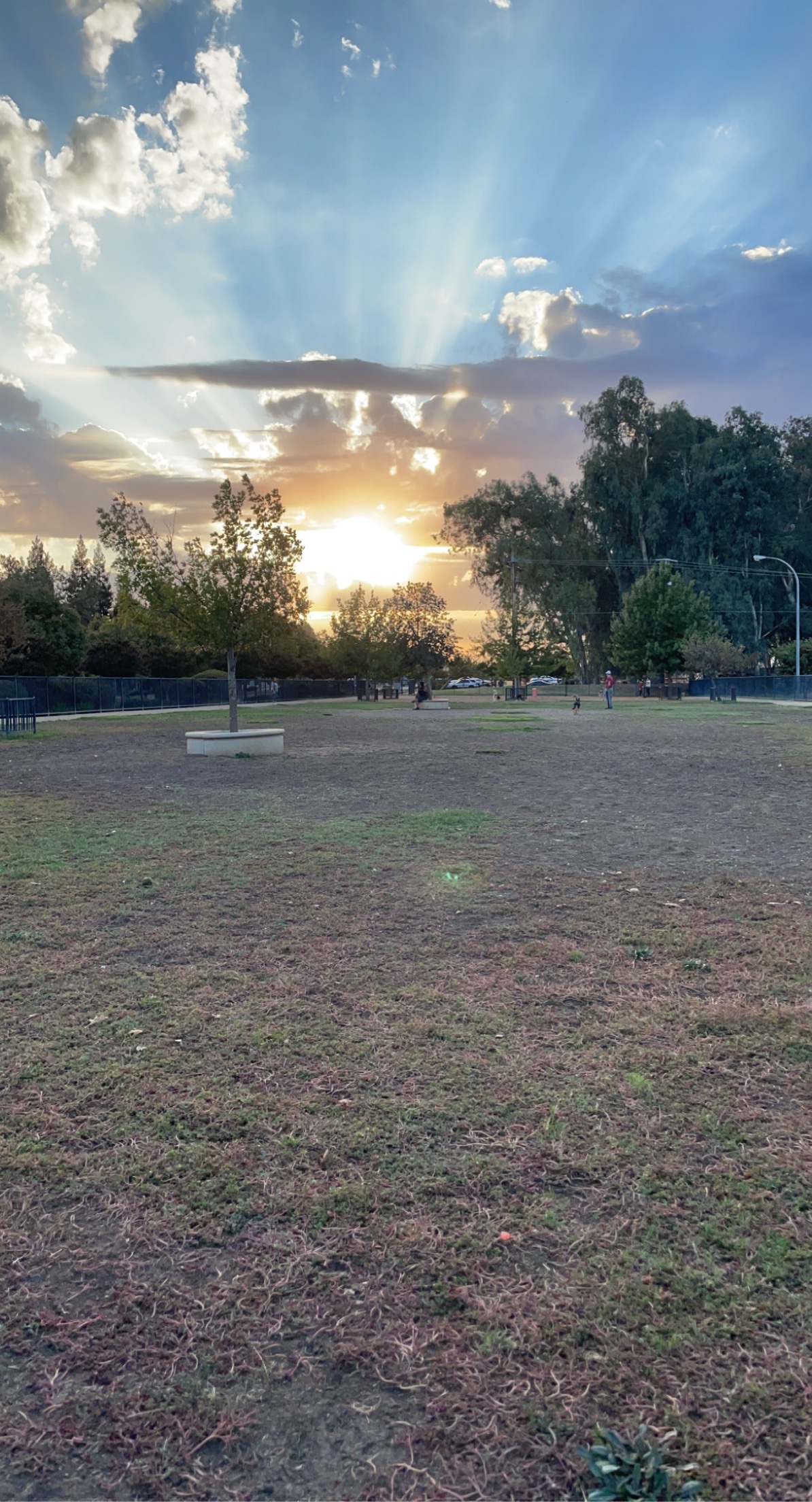 Merced Dog Park
