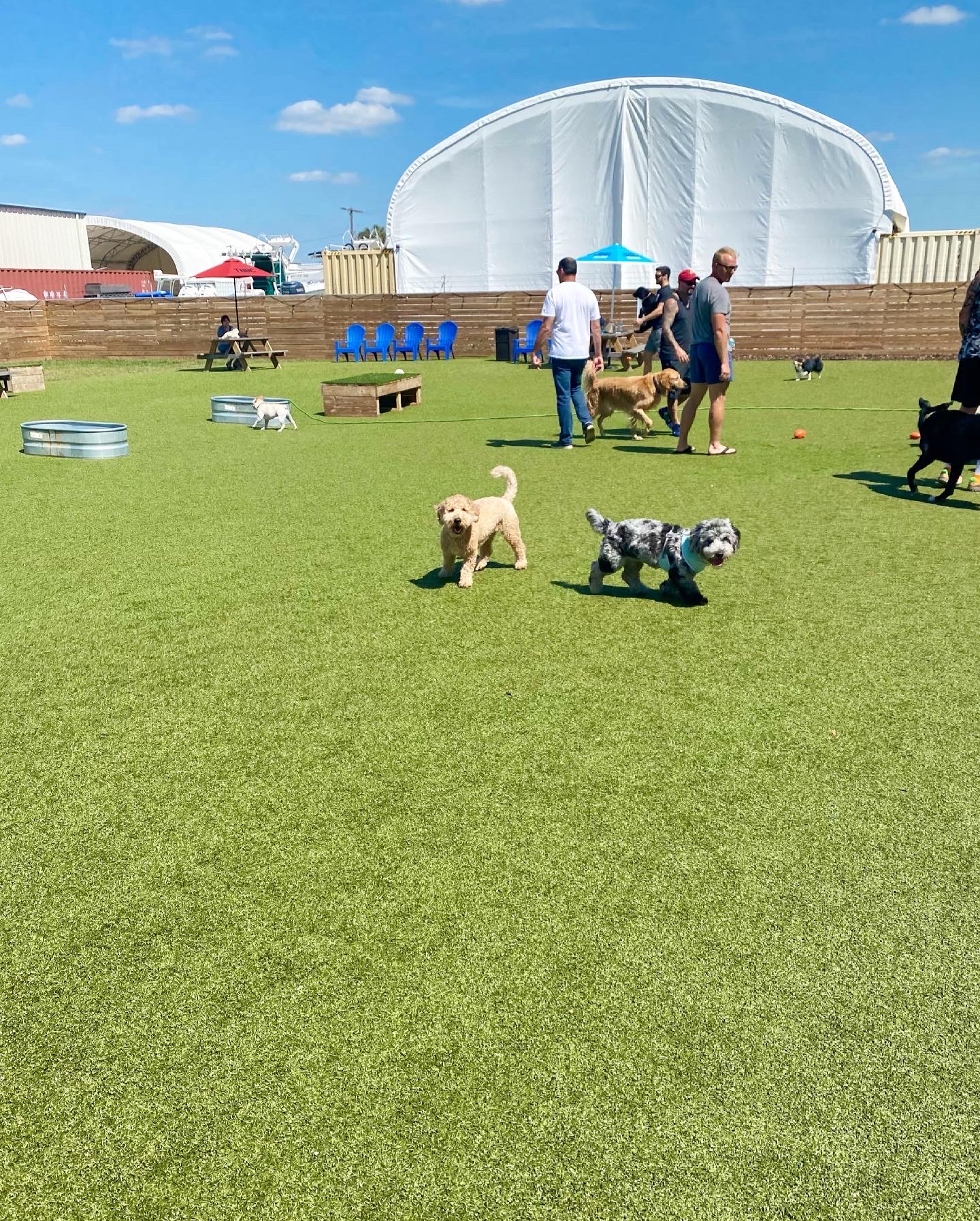 Two Shepherds Taproom - Dog Park + Bar