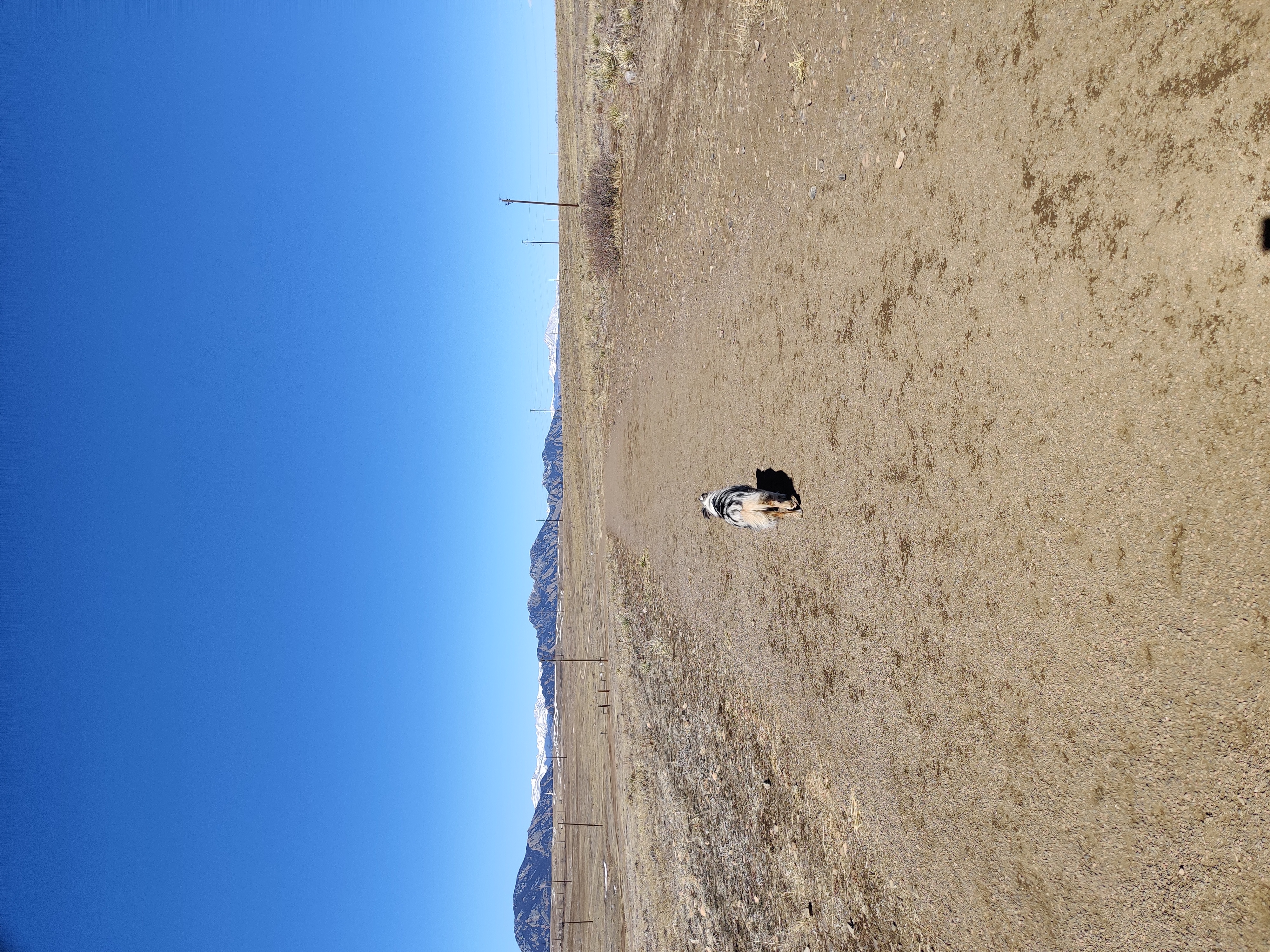 Westminster Hills Dog Park