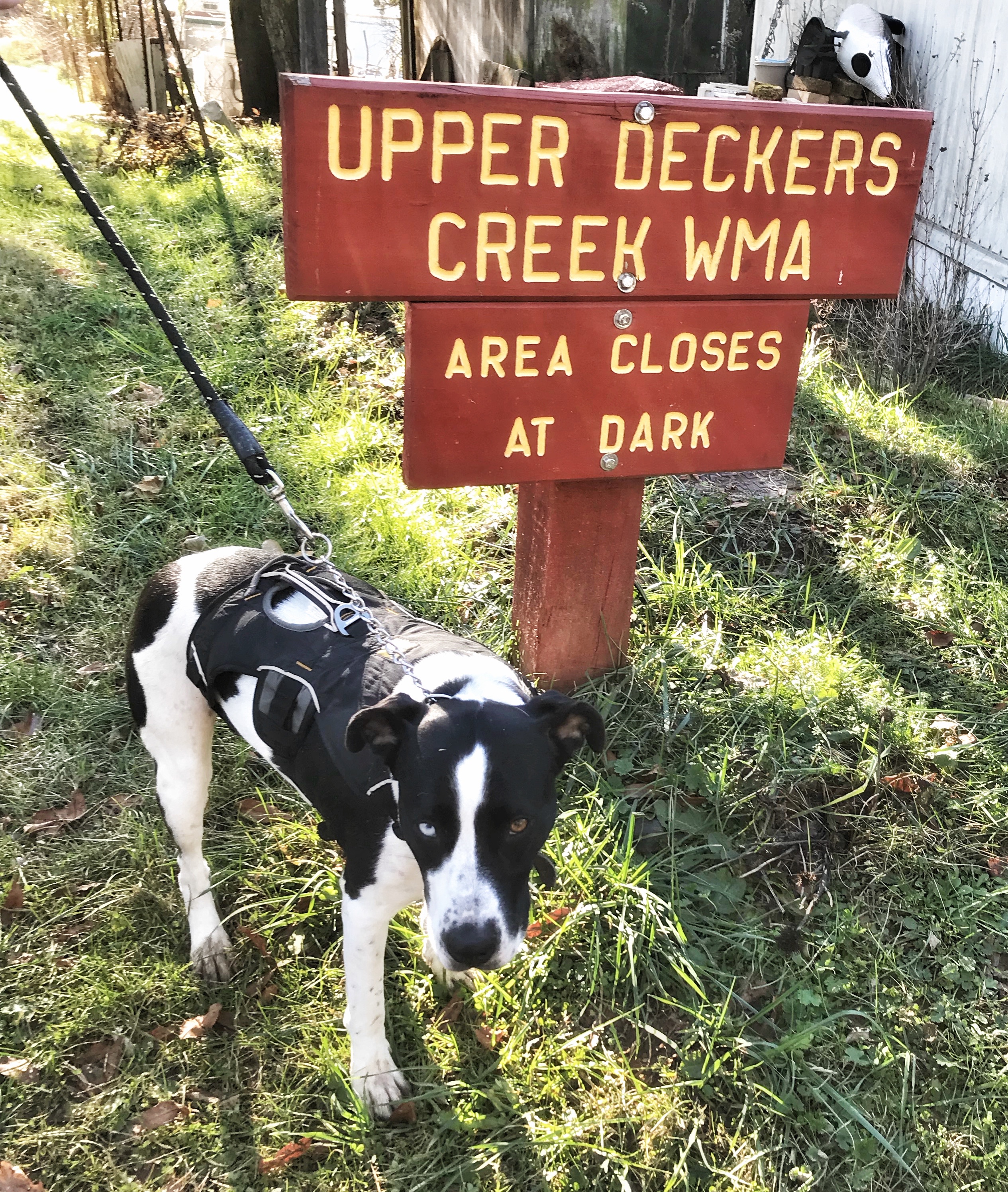 Upper Deckers Creek WMA