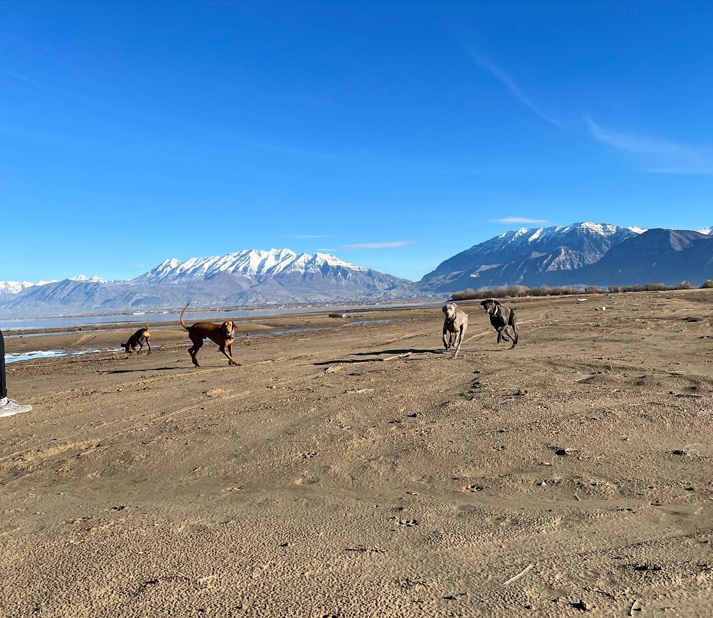 Sandy Beach - Palmyra