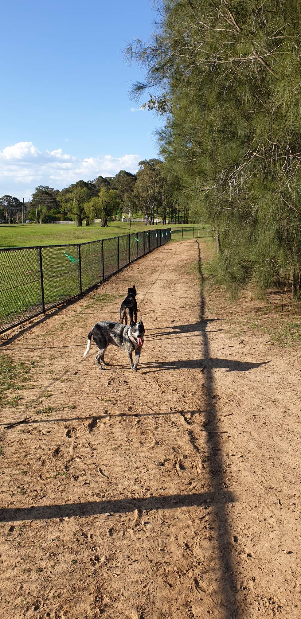 Cranebrook Dog Off-Leash Area