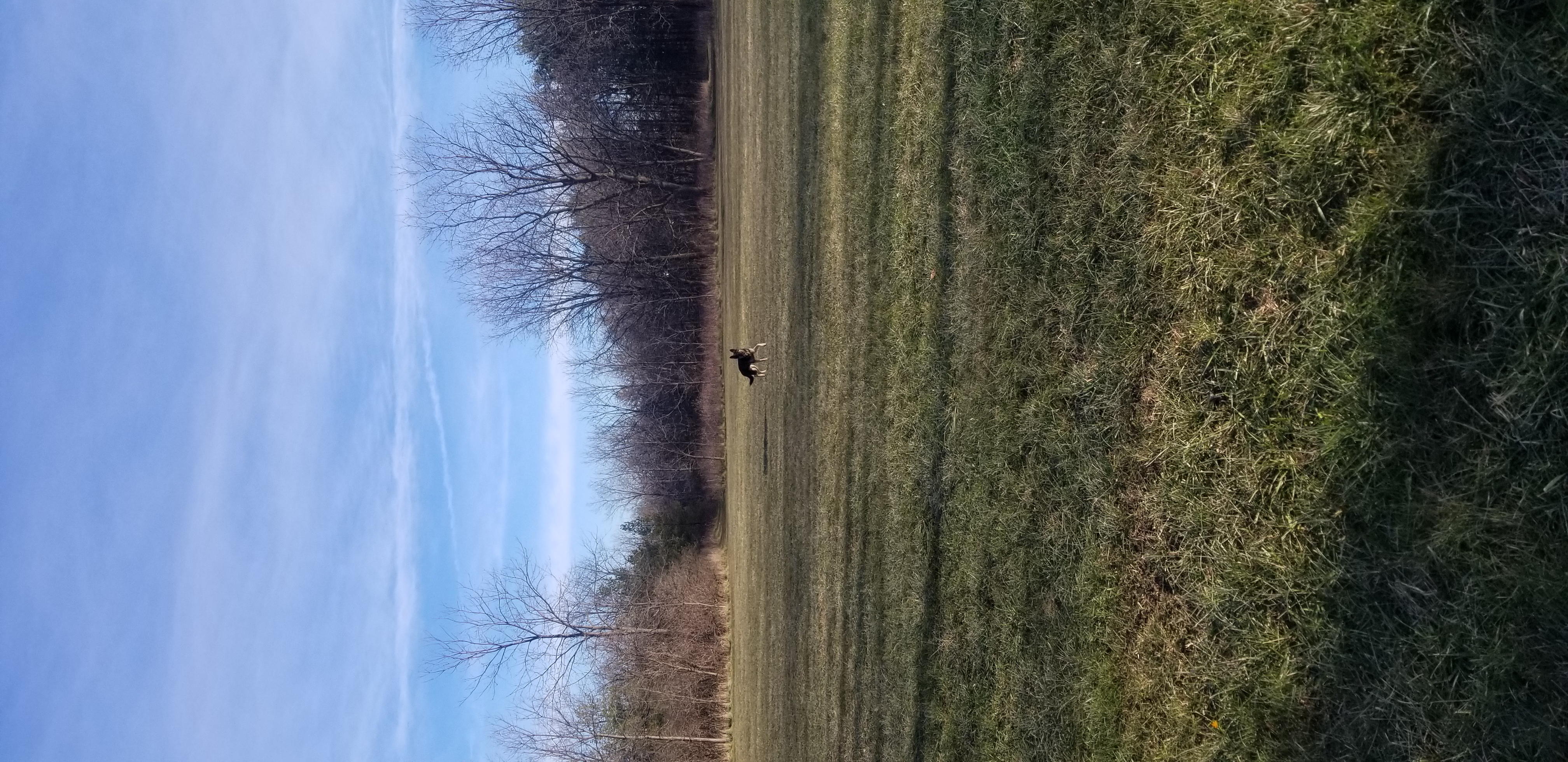 Valley Park - Janesville