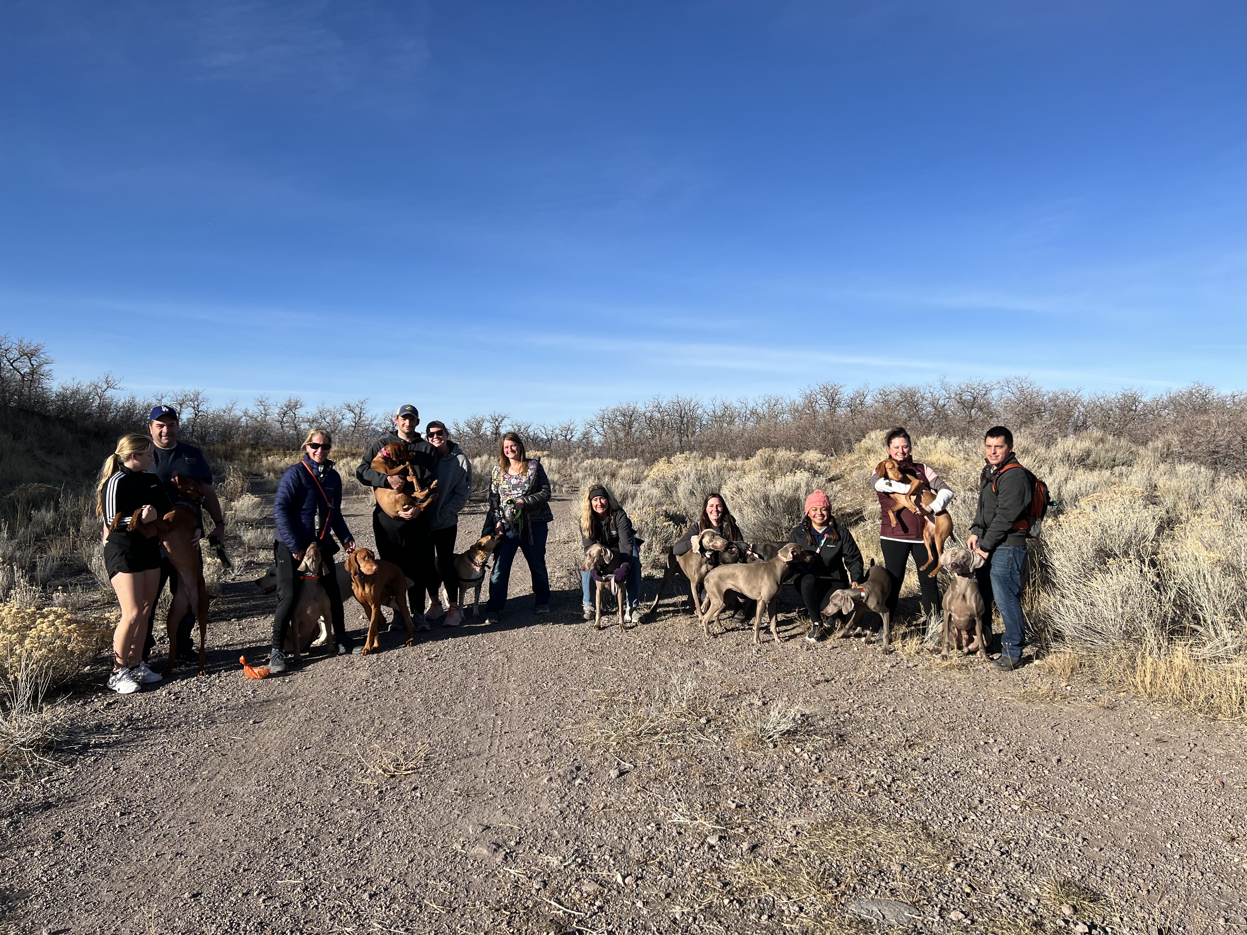 Deer Ridge Off Leash Dog Hike