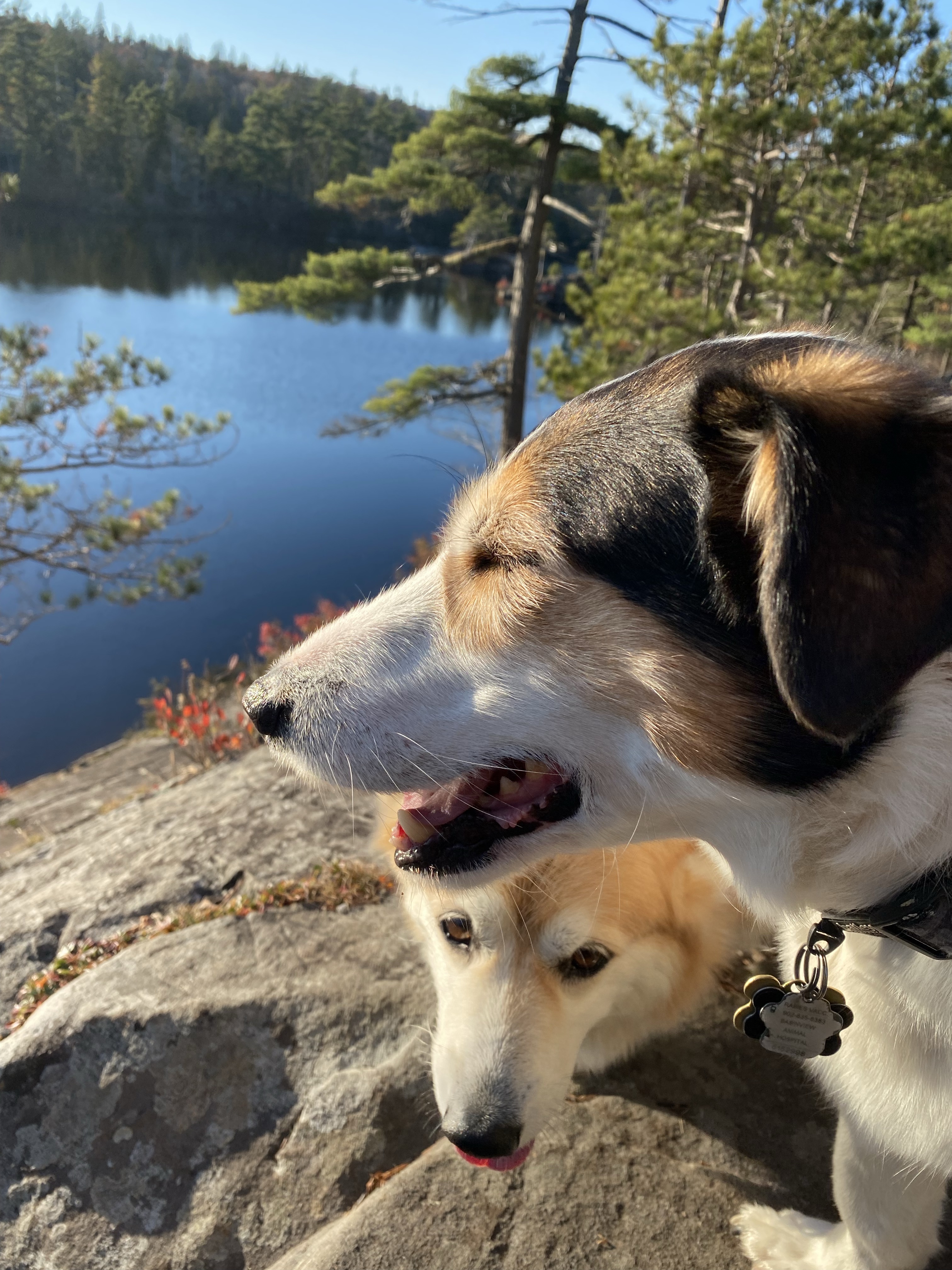 Hobsons Lake Trail - Kearney Lake