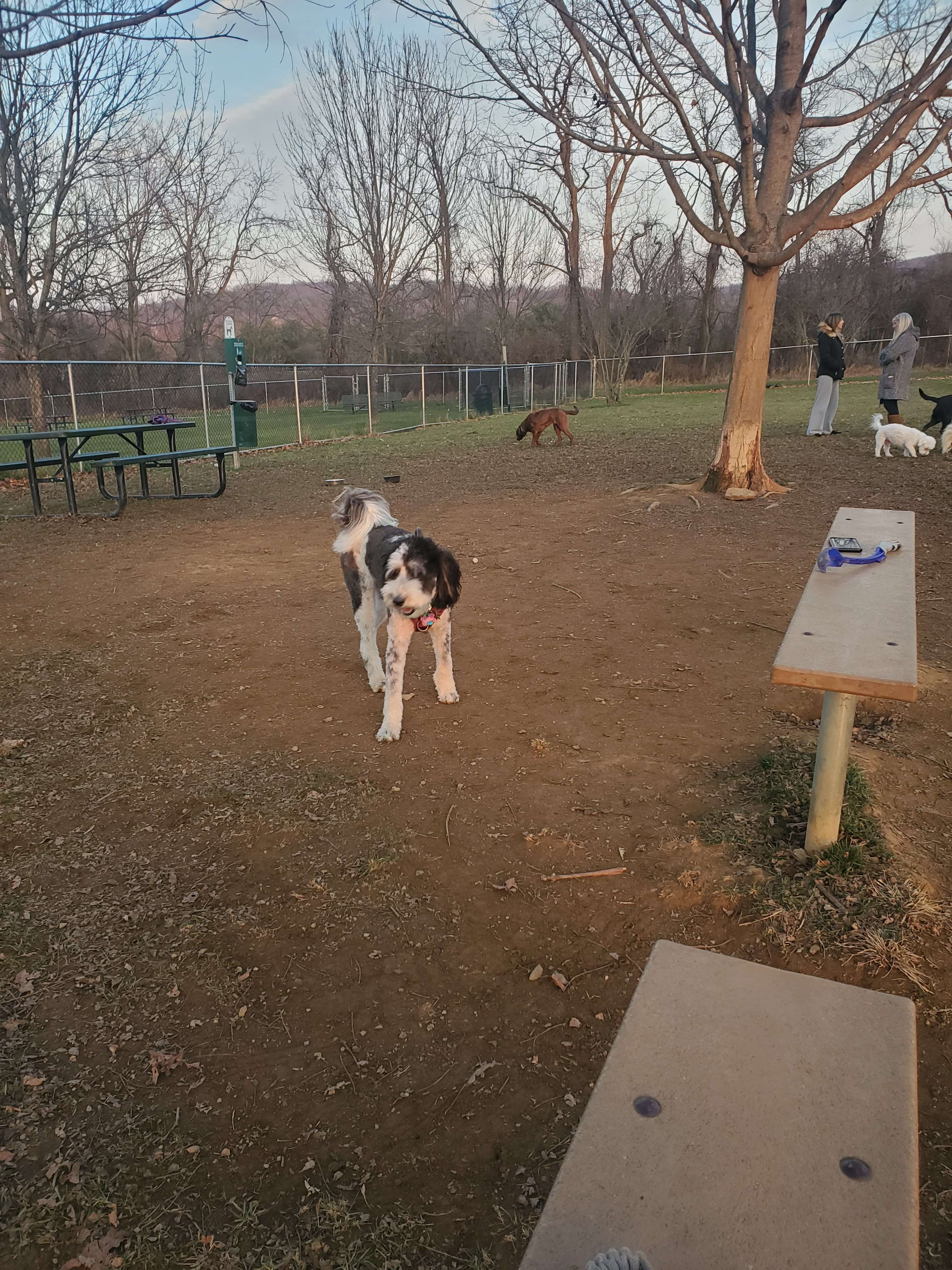 Polk Valley Dog Park