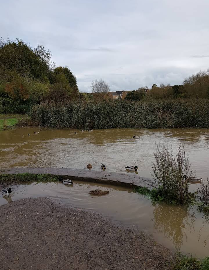 Three Brooks Local Nature Reserve
