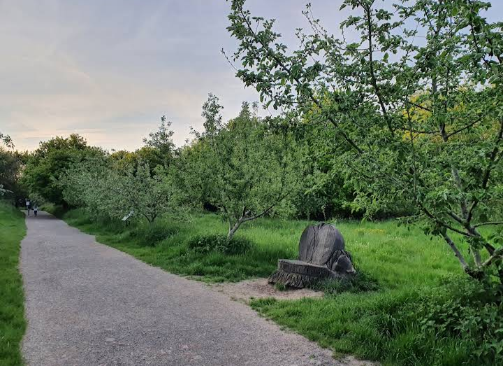 Three Brooks Local Nature Reserve