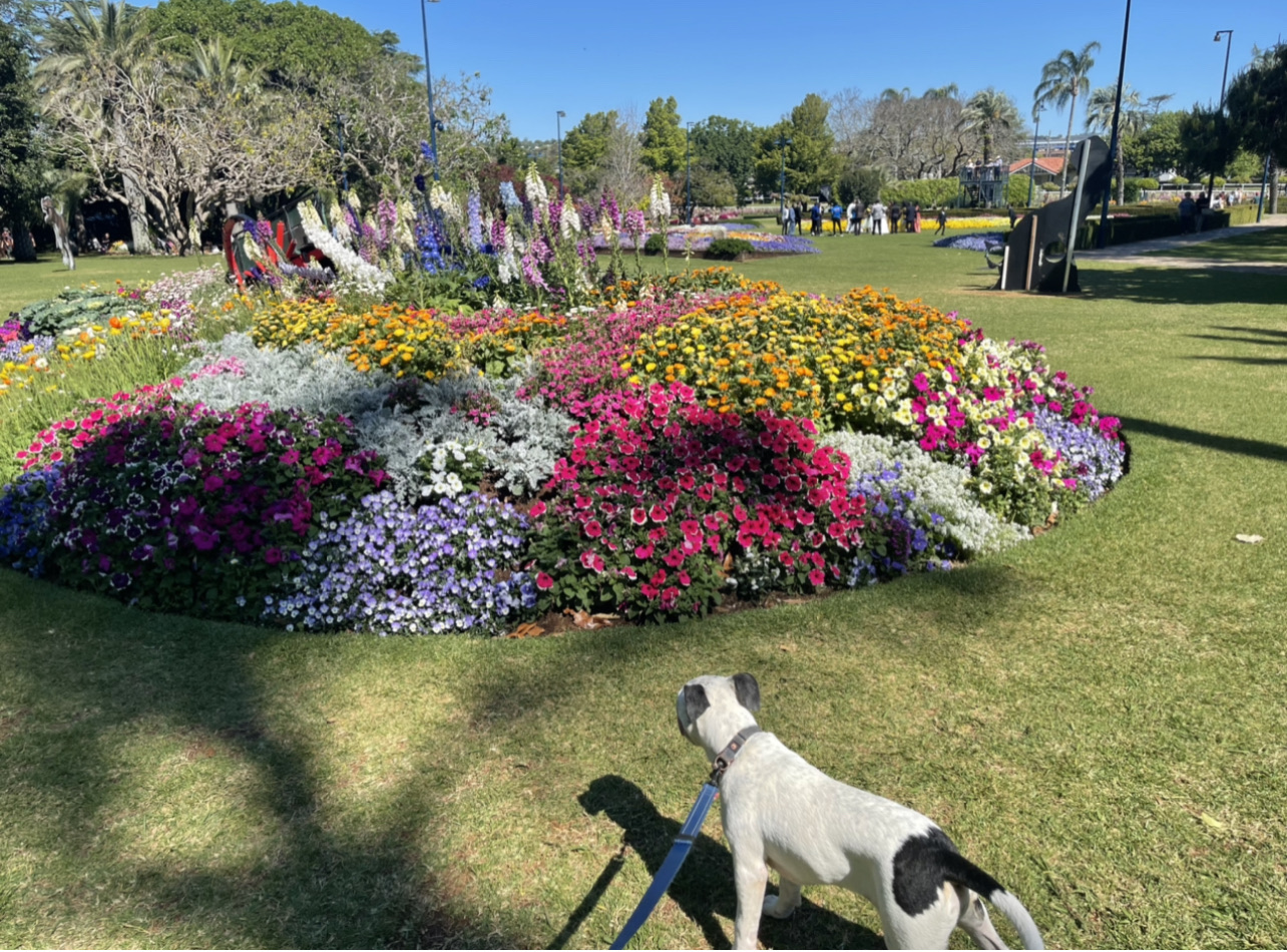 Laurel Bank Park - On Leash Only