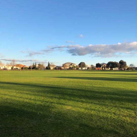 Steel Tree Reserve Off Leash Area
