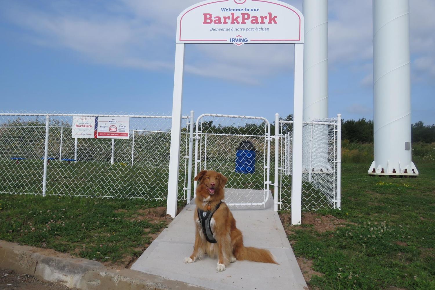 Goobies Big Stop Bark Park - Rest Area