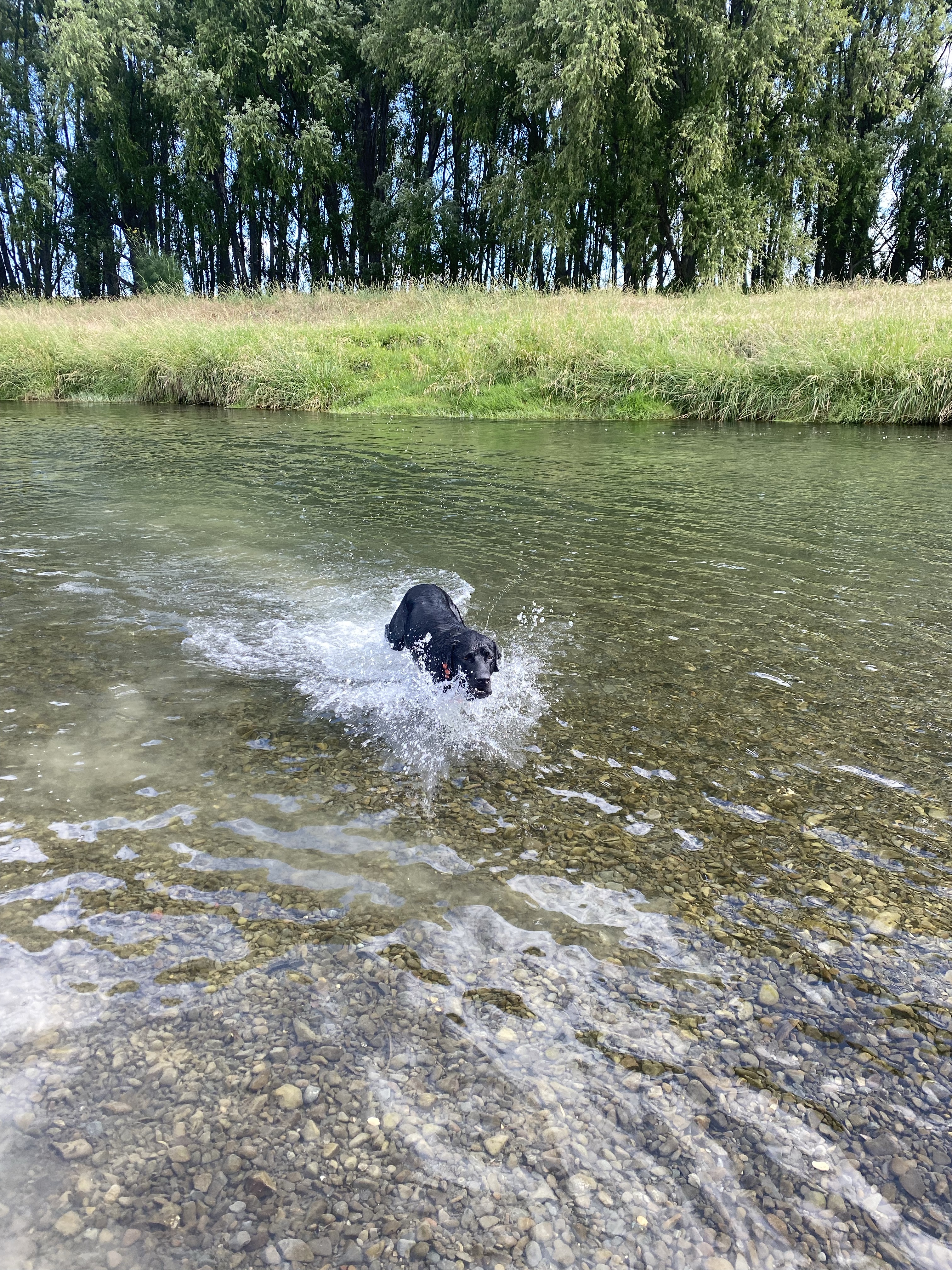 Taradale River (EIT end)