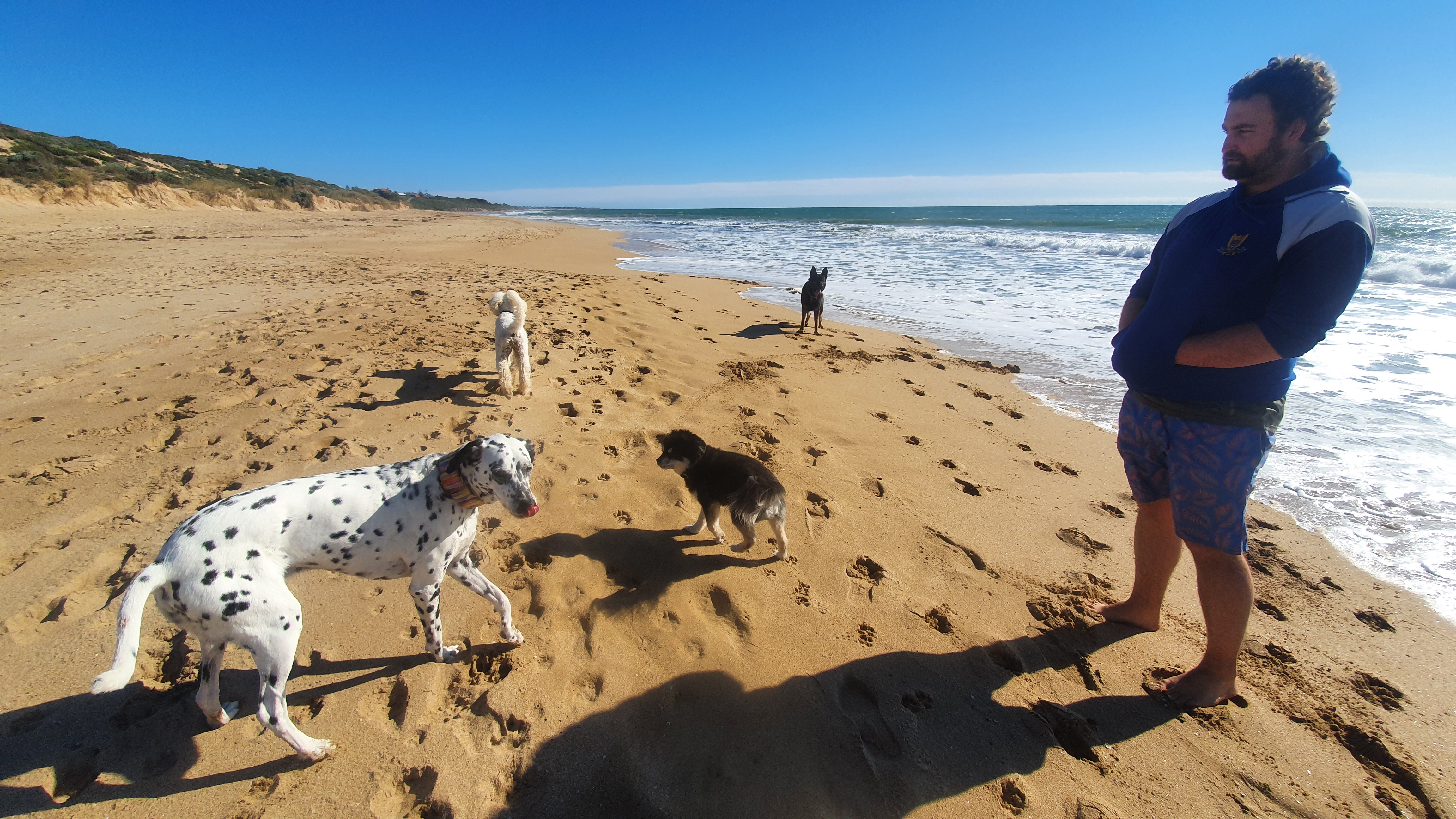 Doddi's Dog Beach