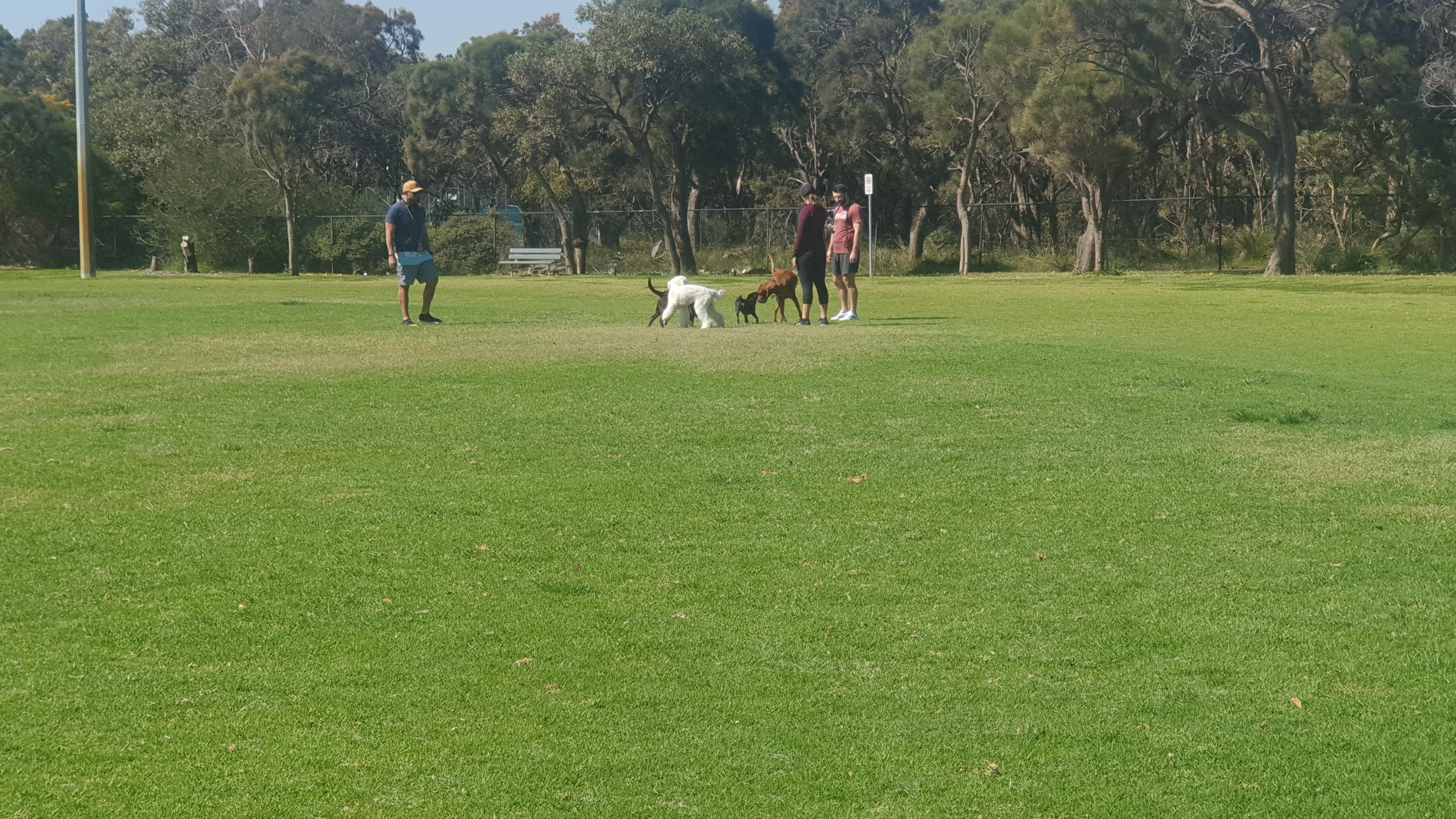 Bortolo Park Off Leash Area