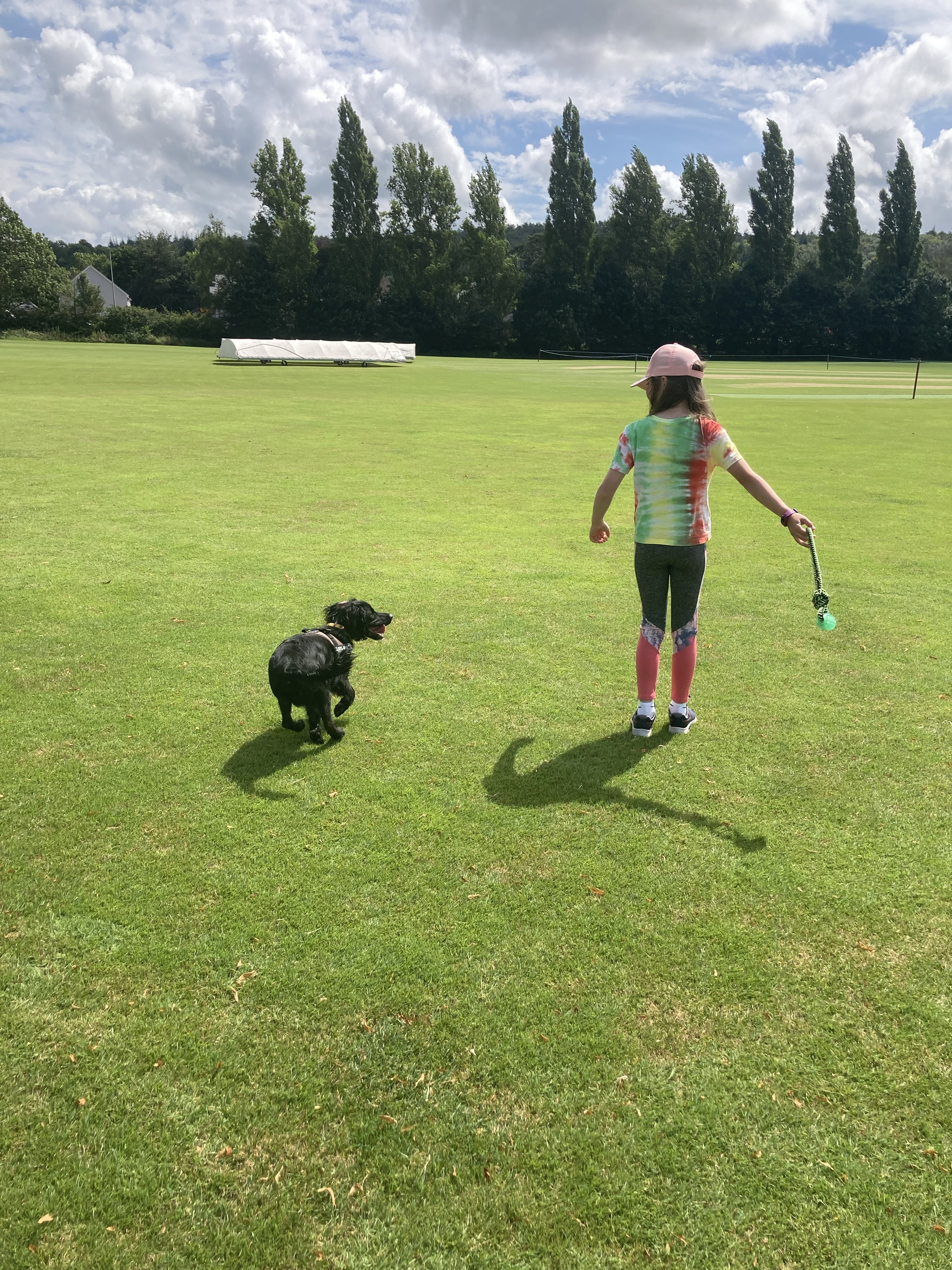 King George V Playing Fields