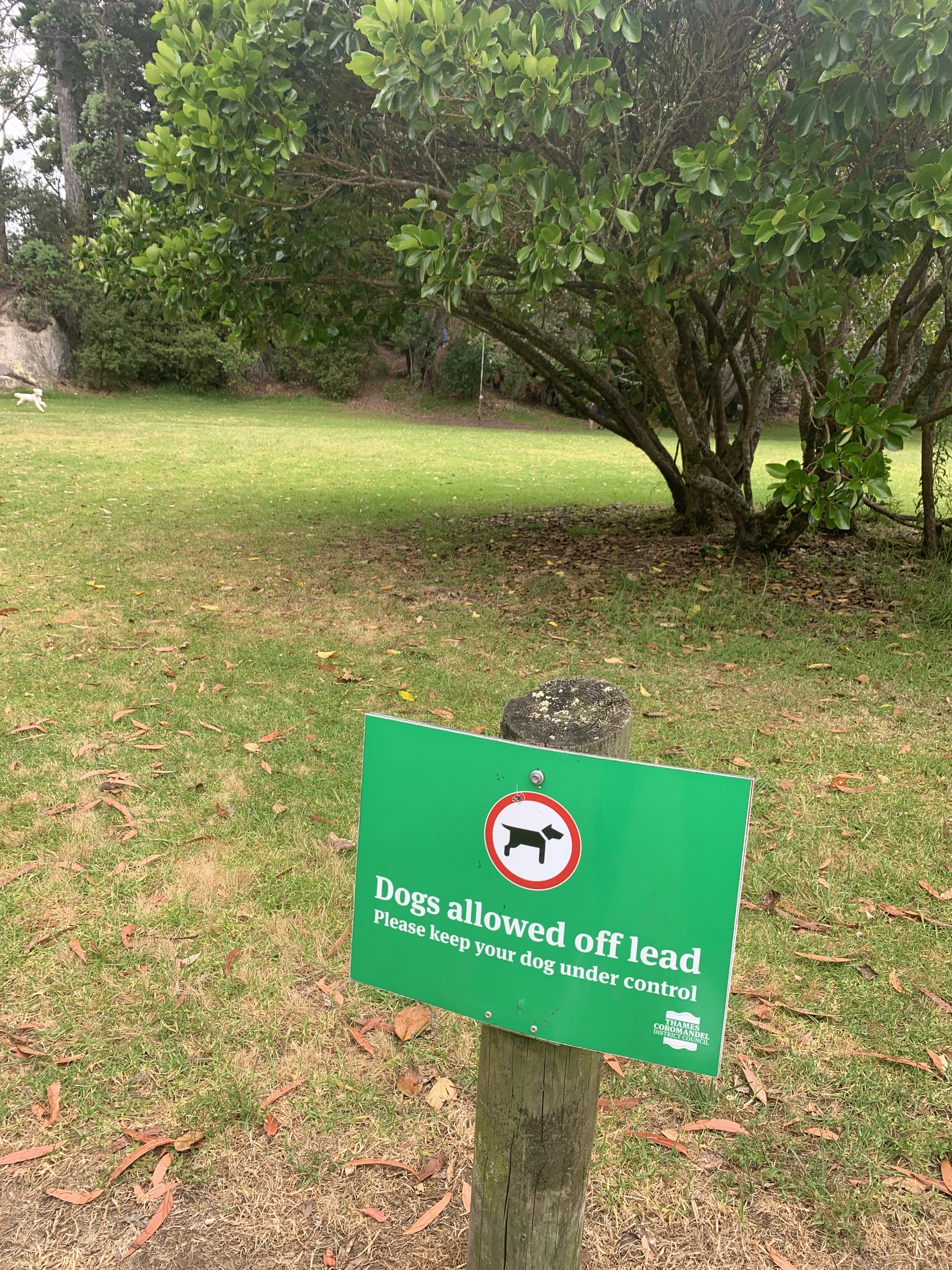 Robinson Road Park/Hill