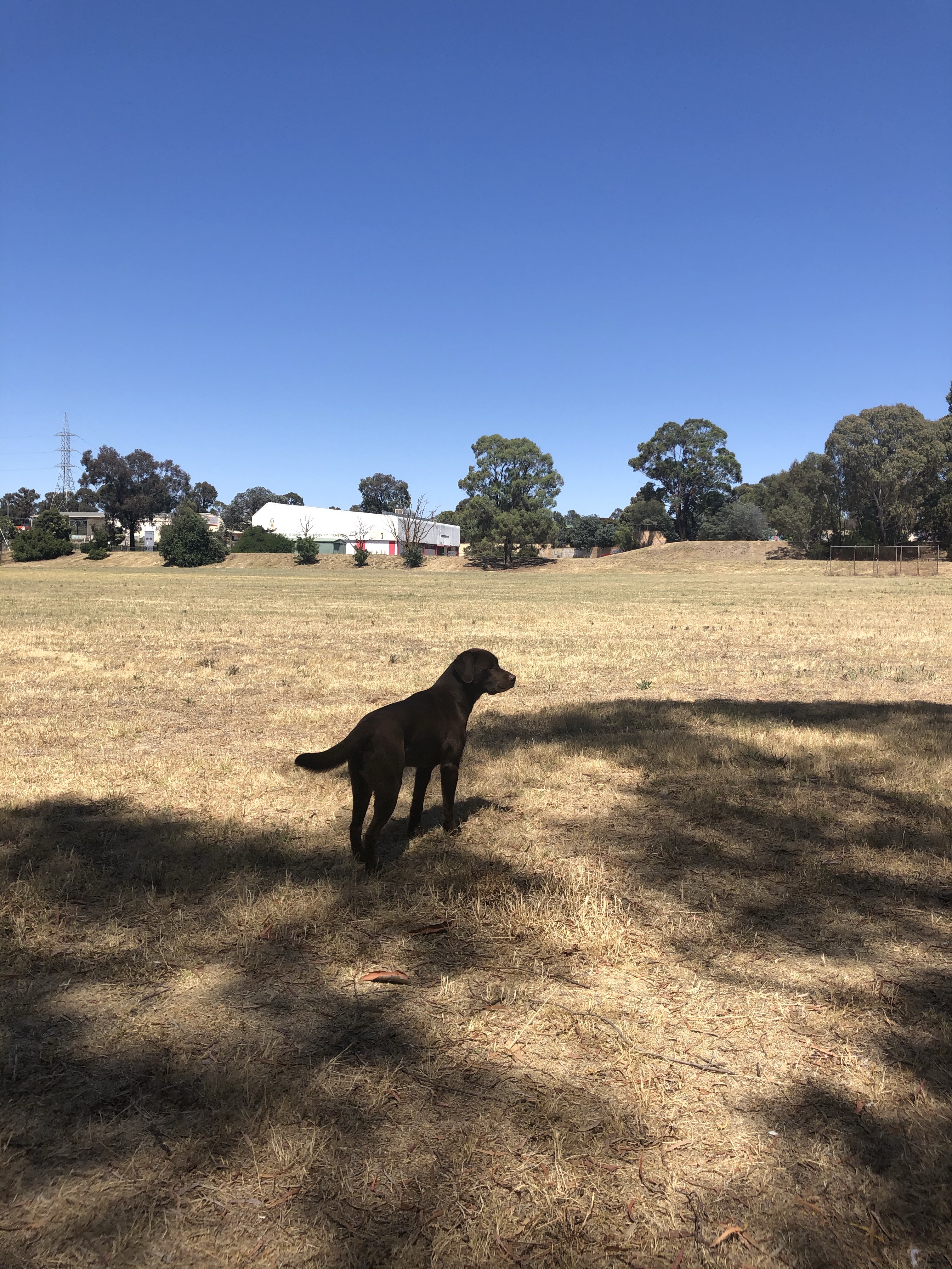 Golden Square Community Activity Centre