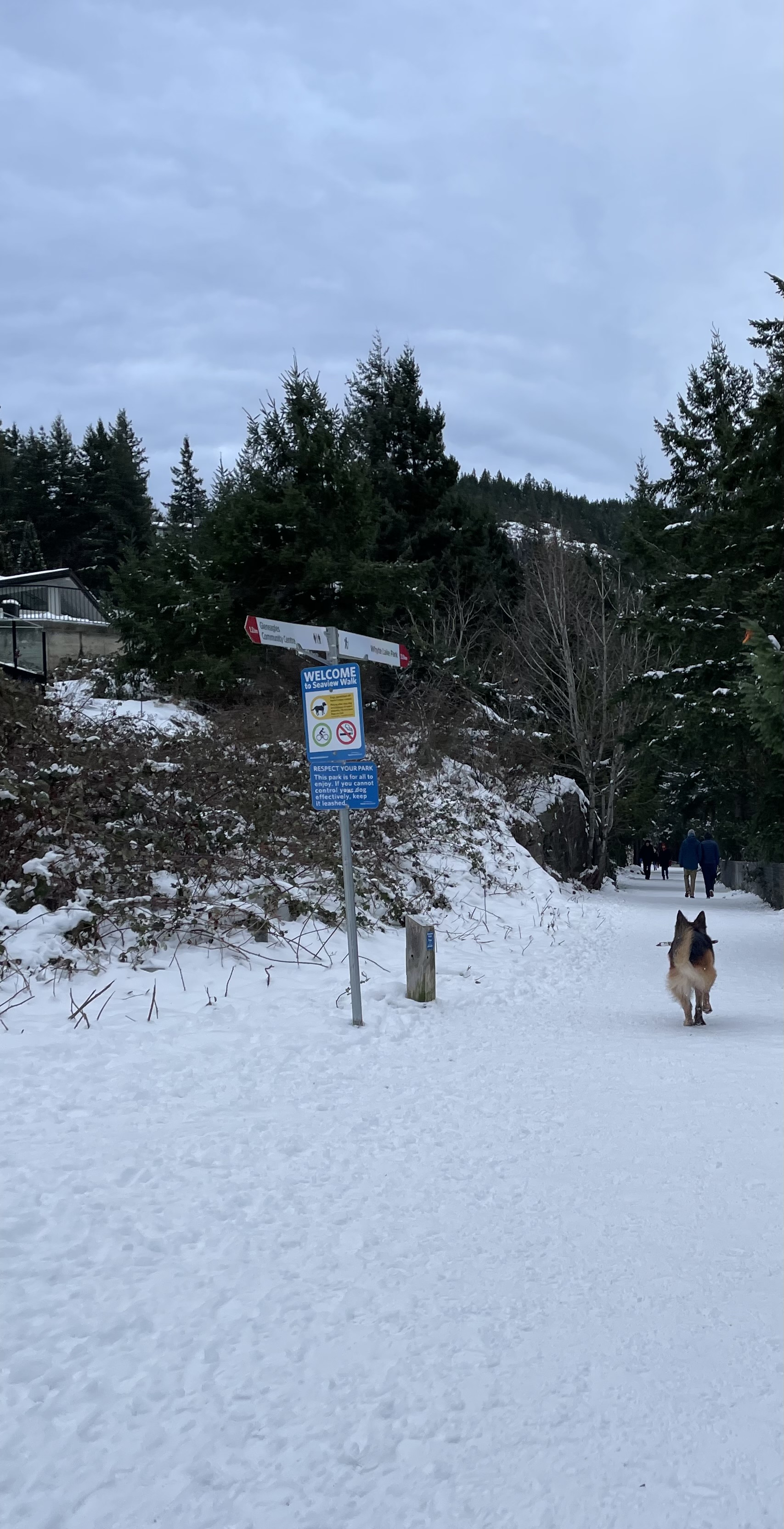 Seaview Walk/off-leash