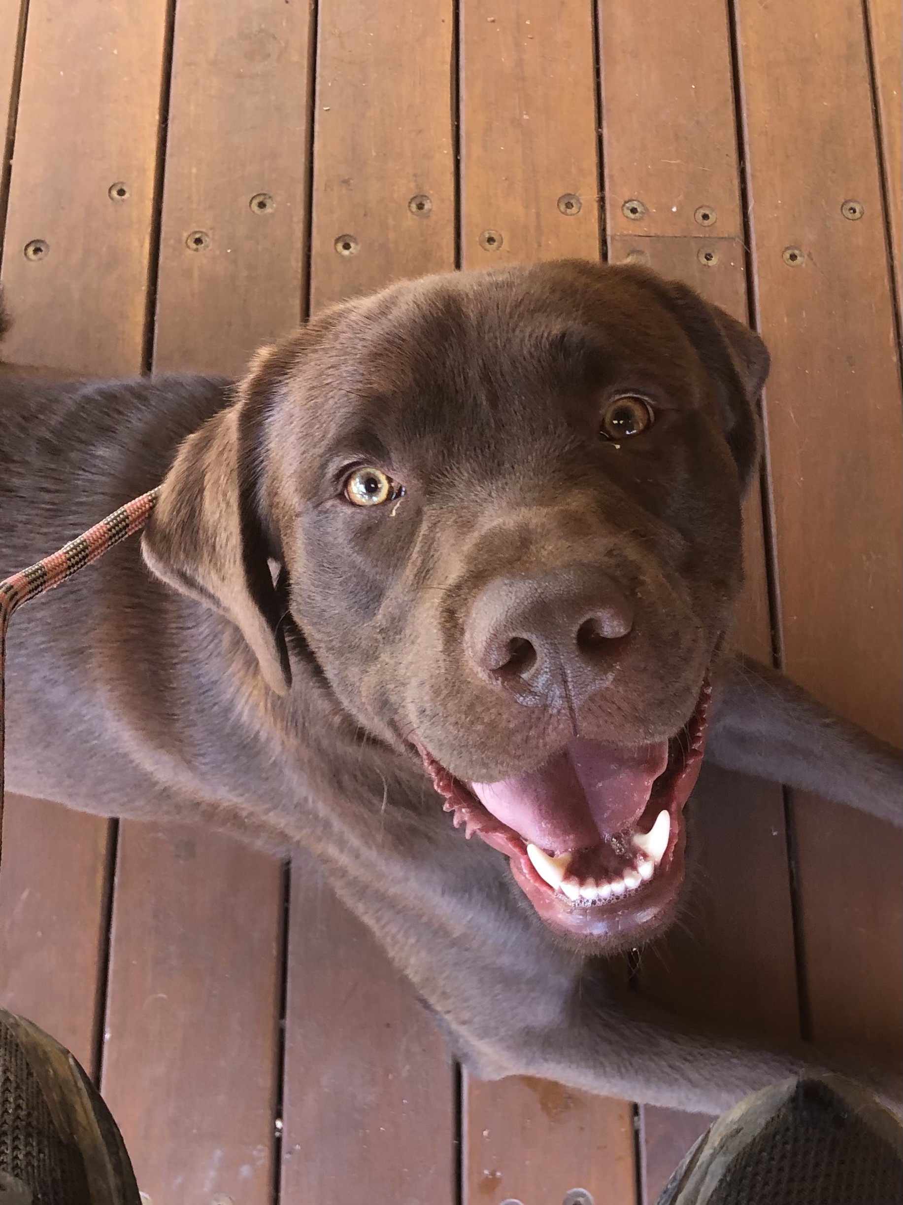 The Boardwalk Bendigo