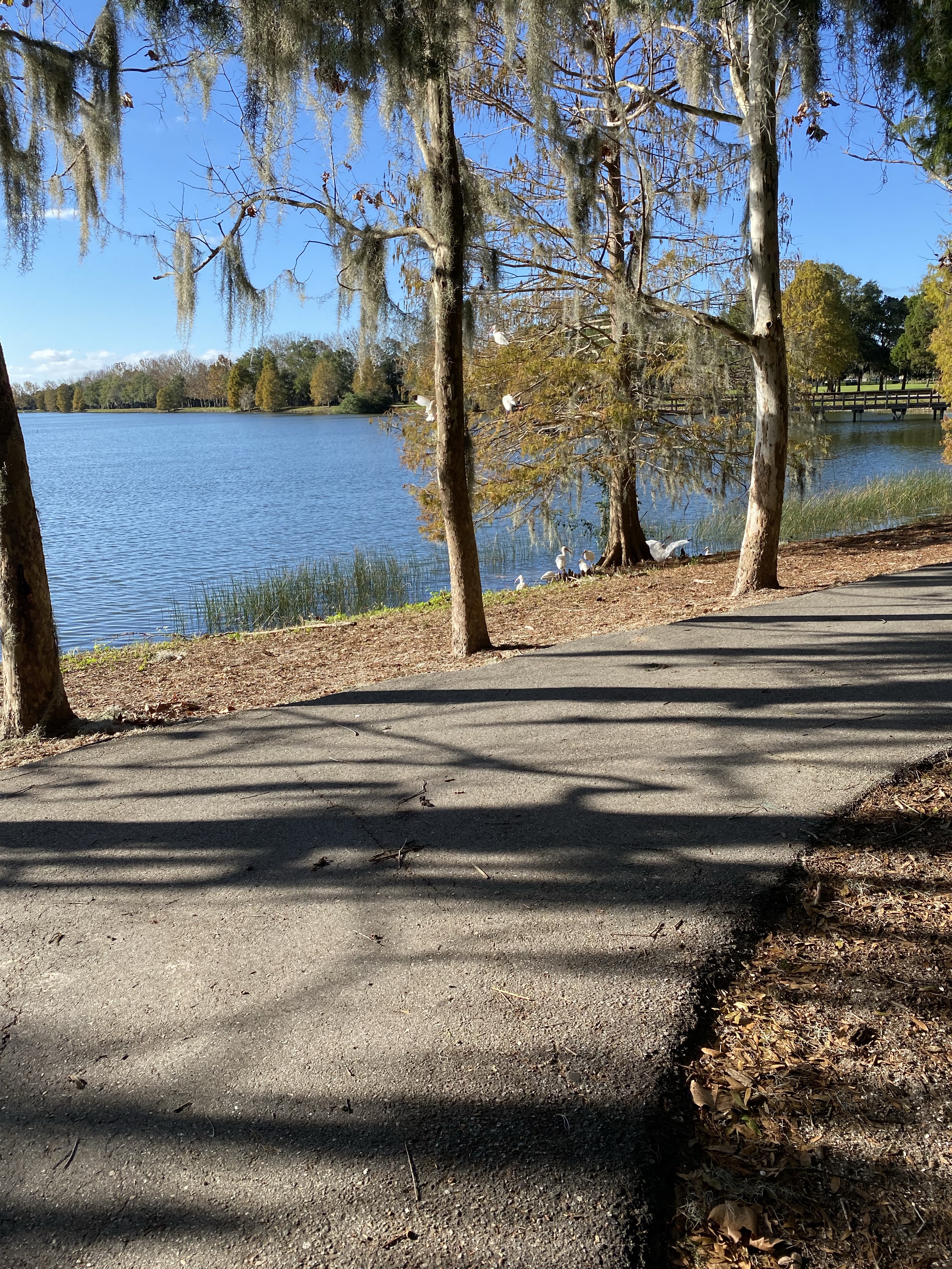 Heritage Harbour Park