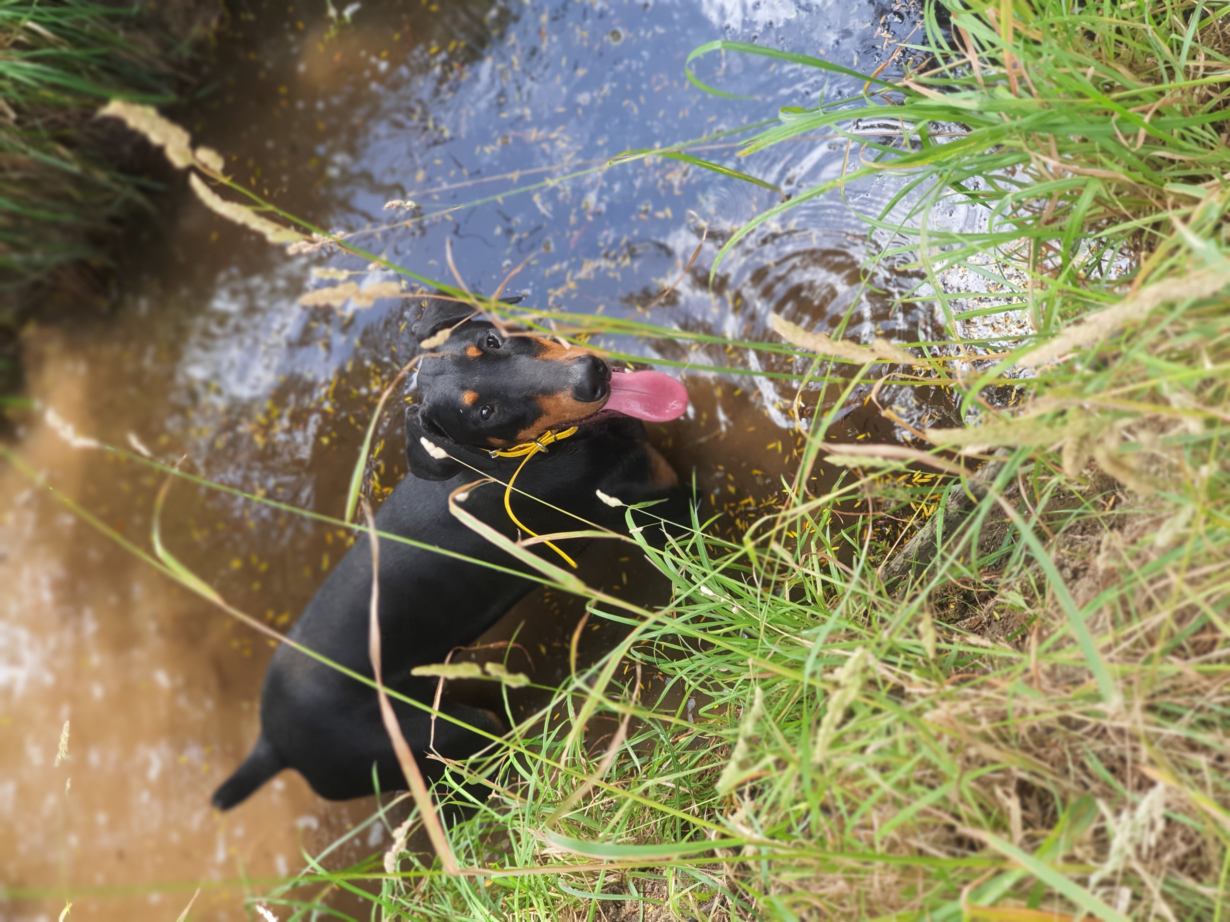 Waro Limestone Scenic Reserve
