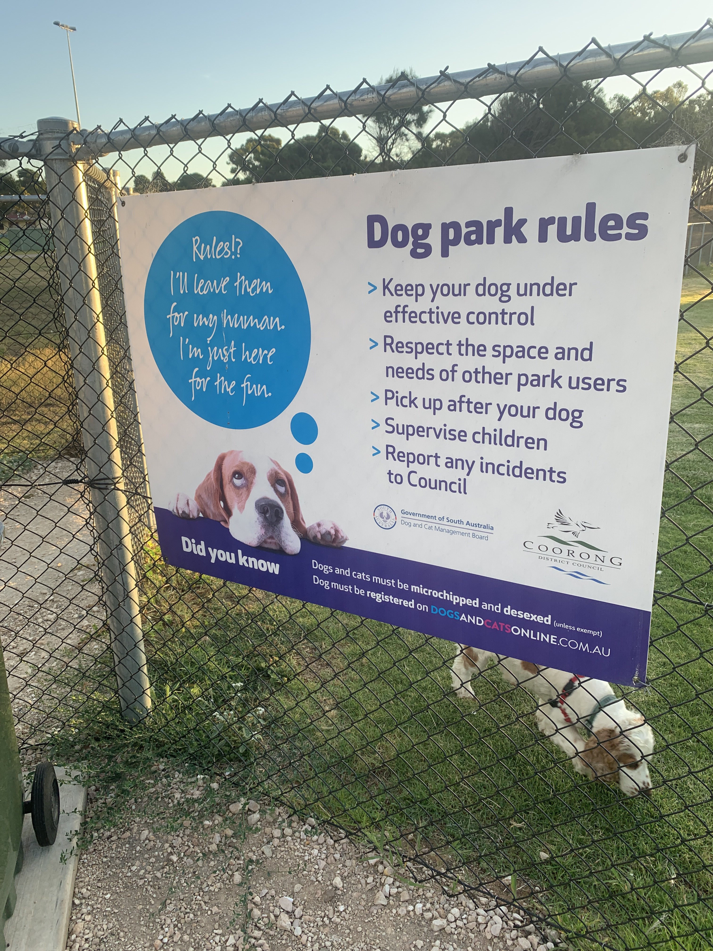 Meningie Dog Park