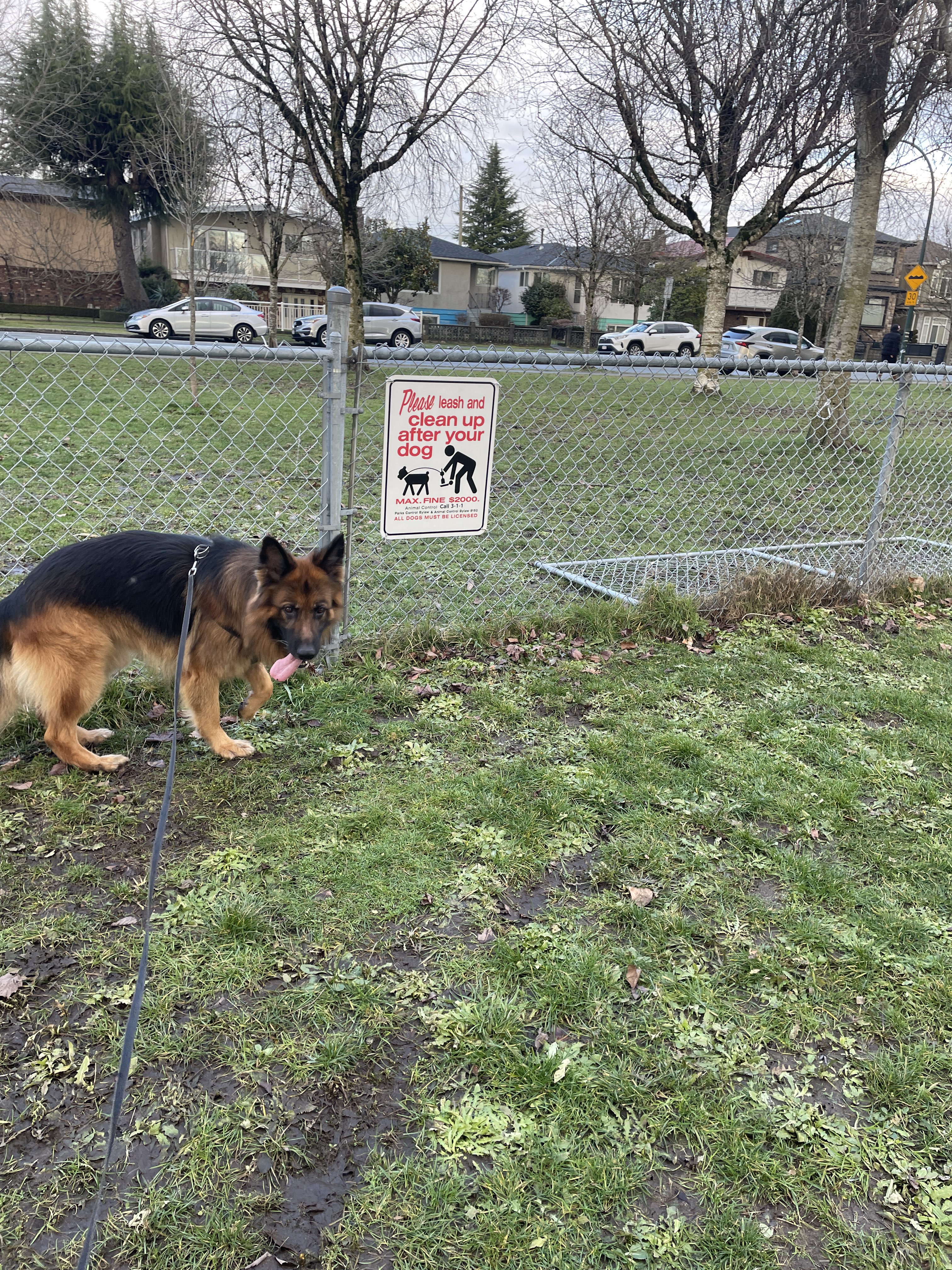 Nanaimo Park - On Leash