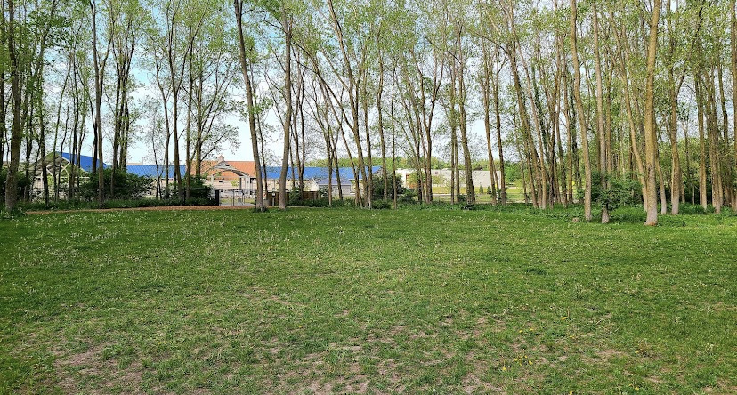 Meridian Township Large Dog Park
