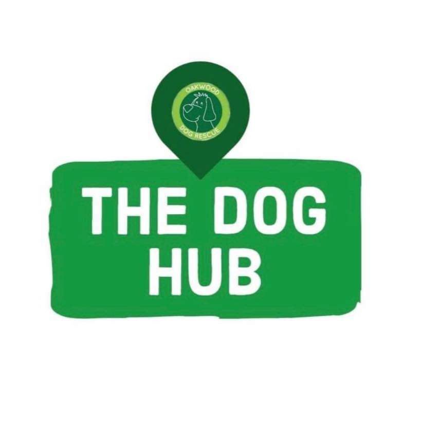 The Dog Hub - Indoor Dog Park