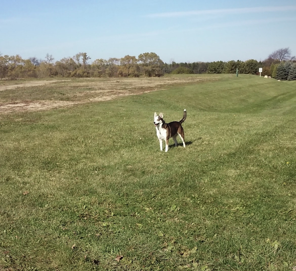 Duck Pond Recreation Area - Off Leash